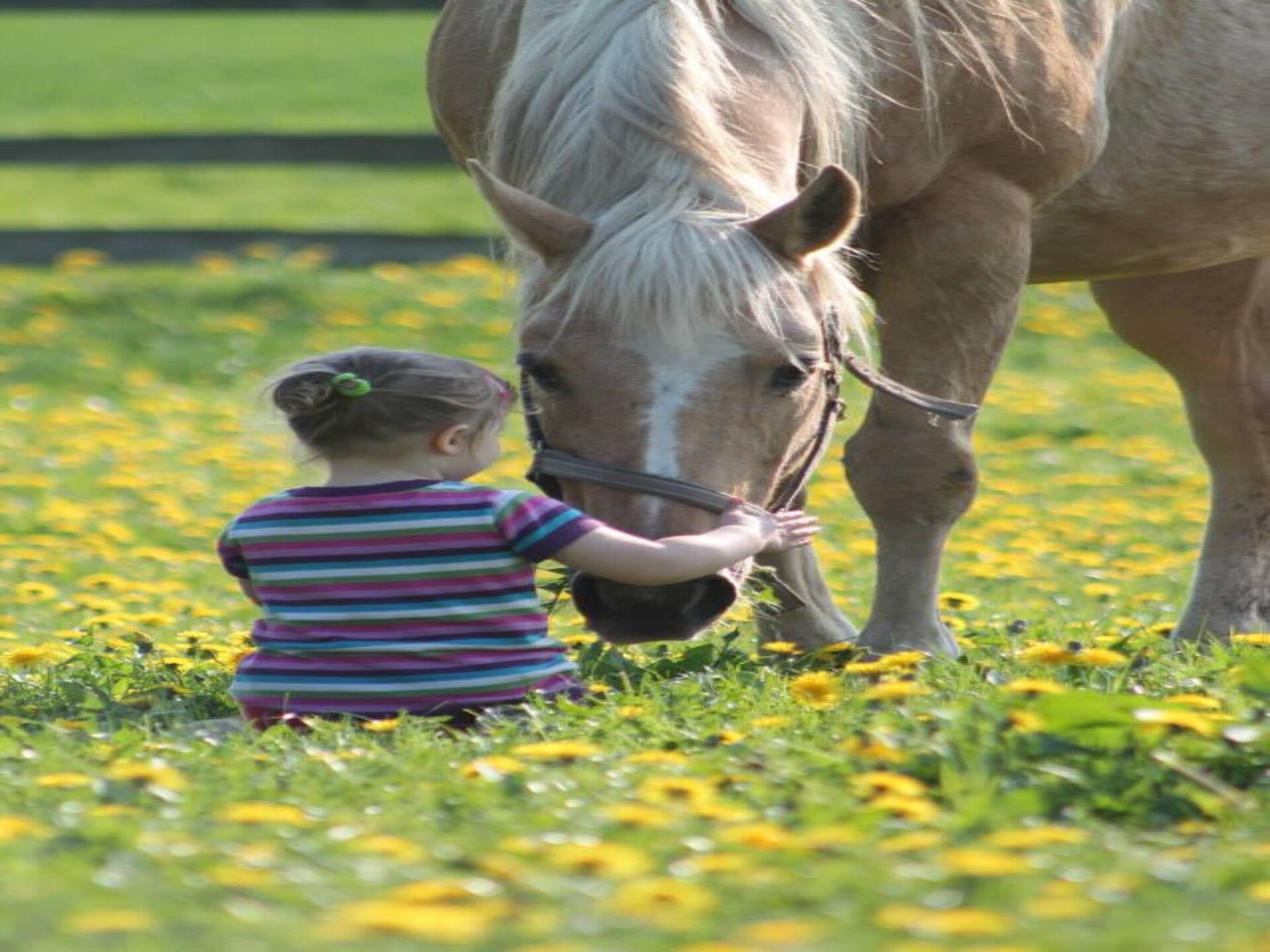 Rustiek appartement op boerderij met uitzicht op paardenweide bij Kröpelin - foto 40