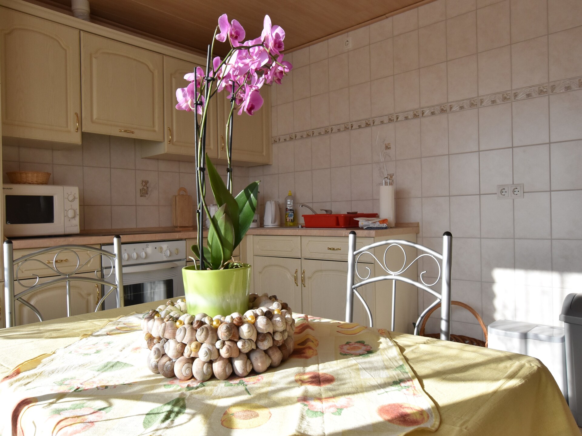 Rustiek appartement op boerderij met uitzicht op paardenweide bij Kröpelin - foto 12