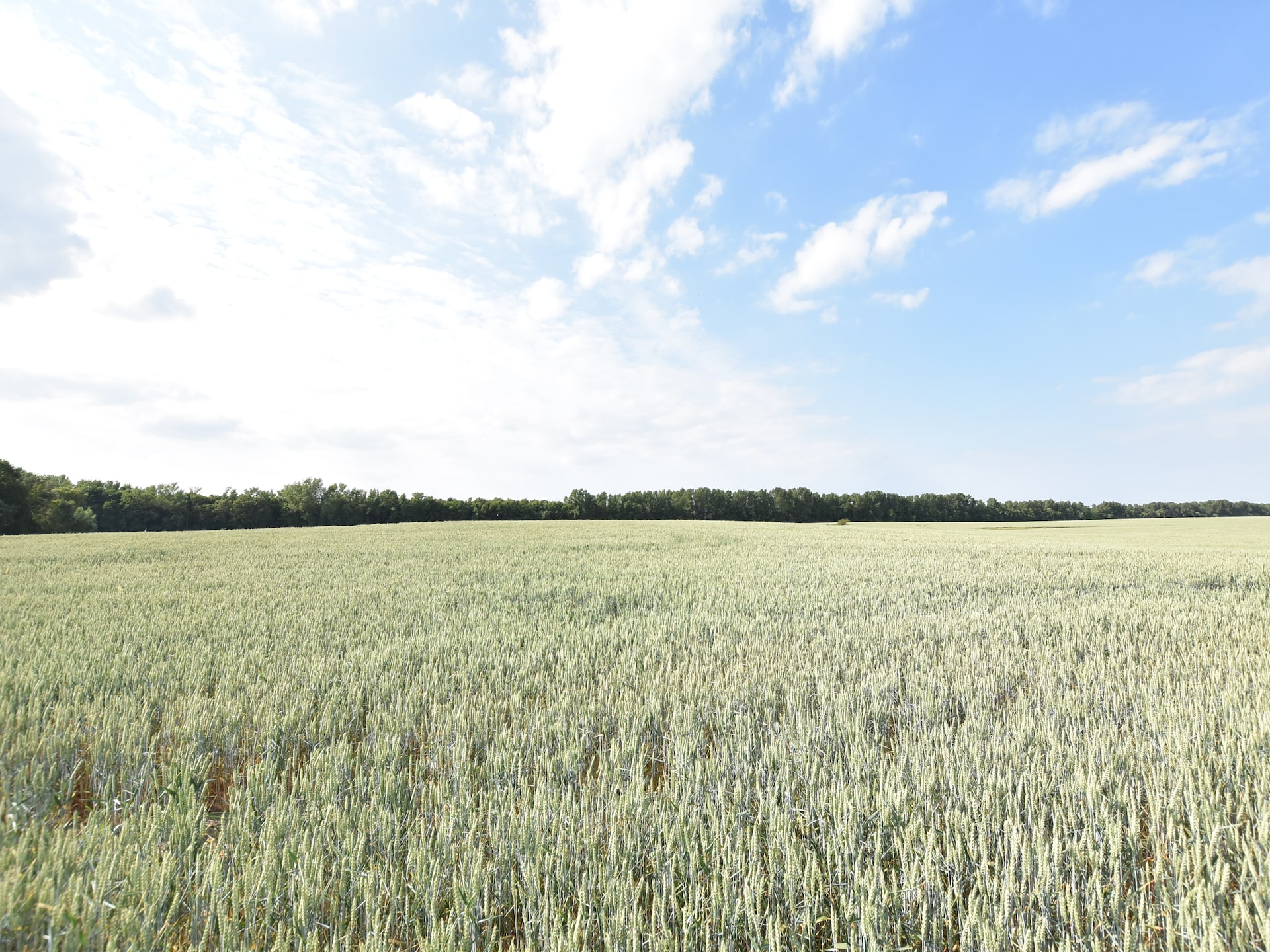 Ruime boerderij in Kröpelin voor 7 personen - foto 22