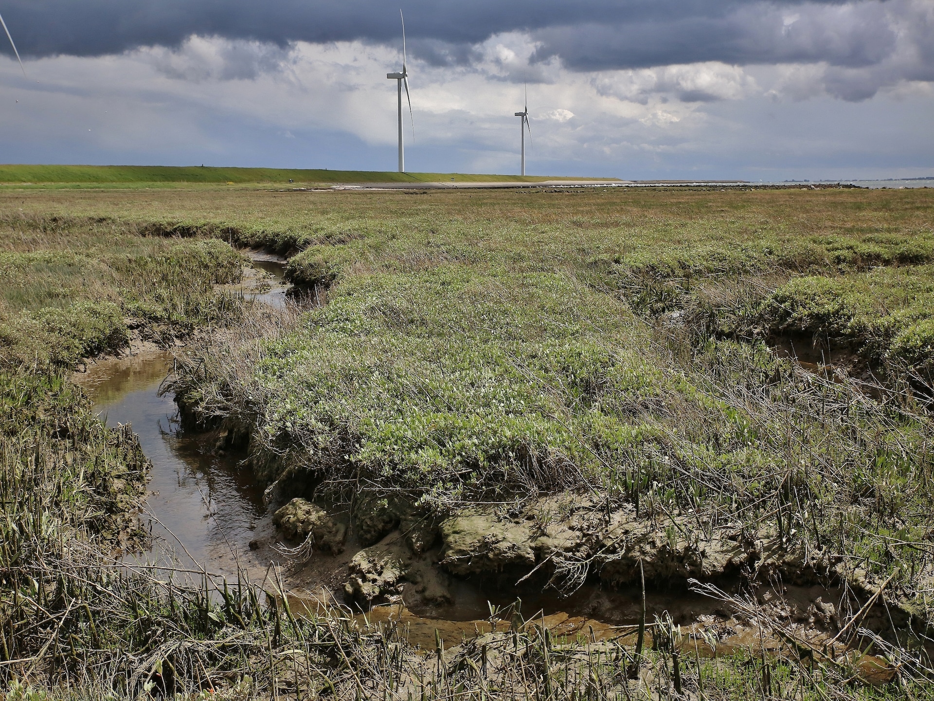 Stijlvol vrijstaand vakantiehuis aan Nationaal Park Oosterschelde - foto 25