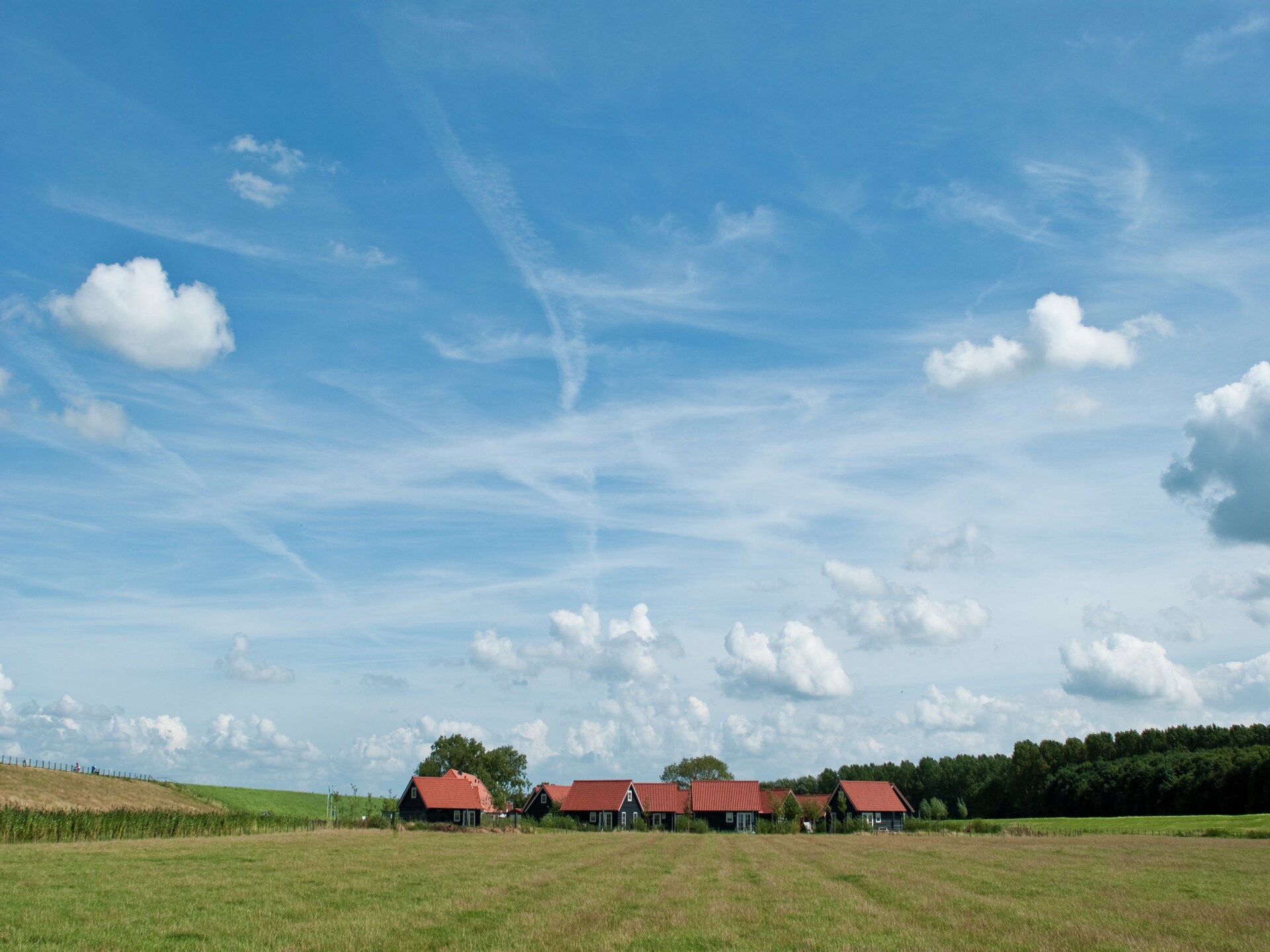 Stijlvol vrijstaand vakantiehuis aan Nationaal Park Oosterschelde - foto 17