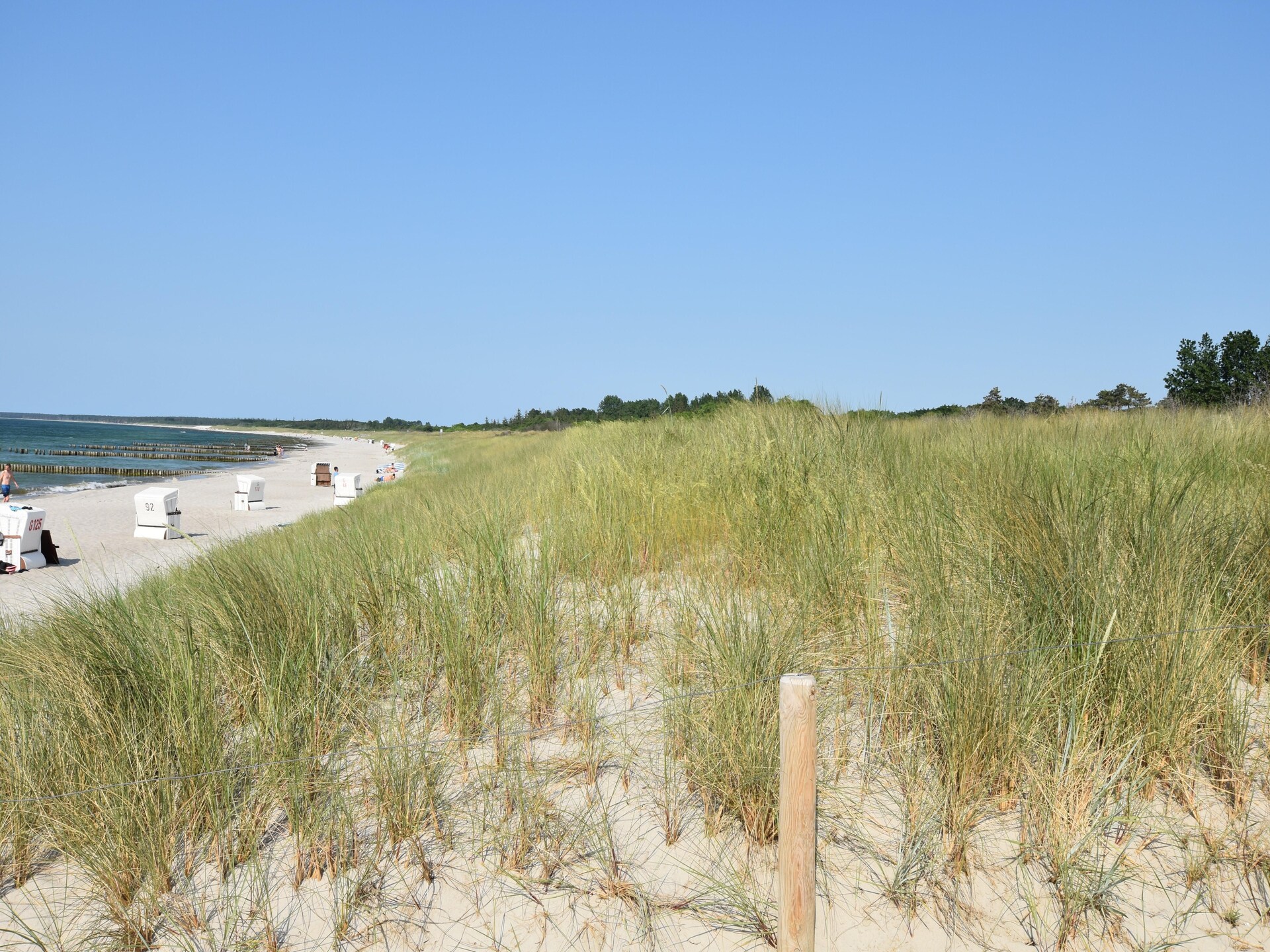 Arko 3 Am Meer: Romantisch appartement op 500m van het strand in Zingst - foto 21