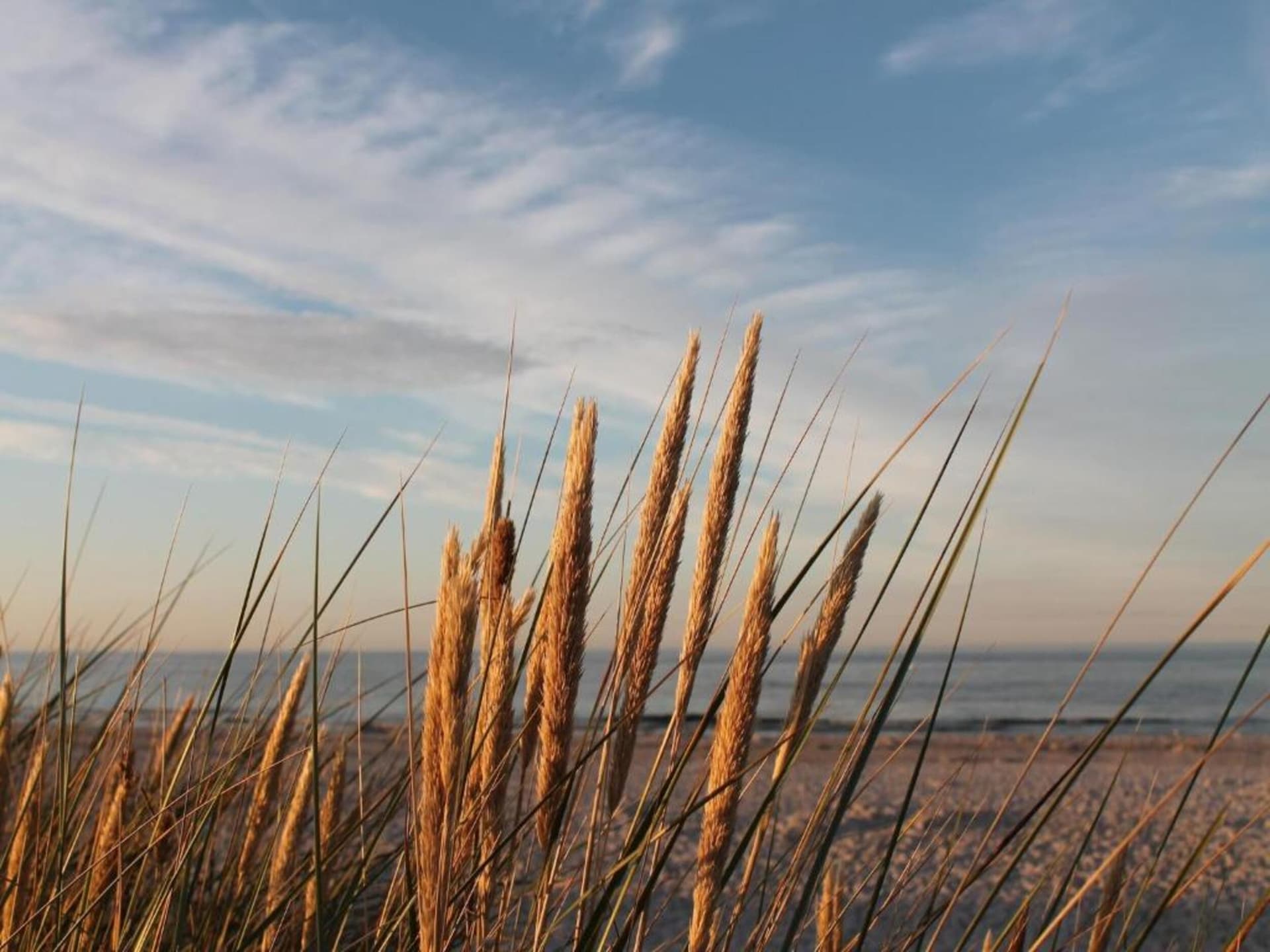 Op 500 m van het strand: ruim appartement in centrum van Zingst - foto 37