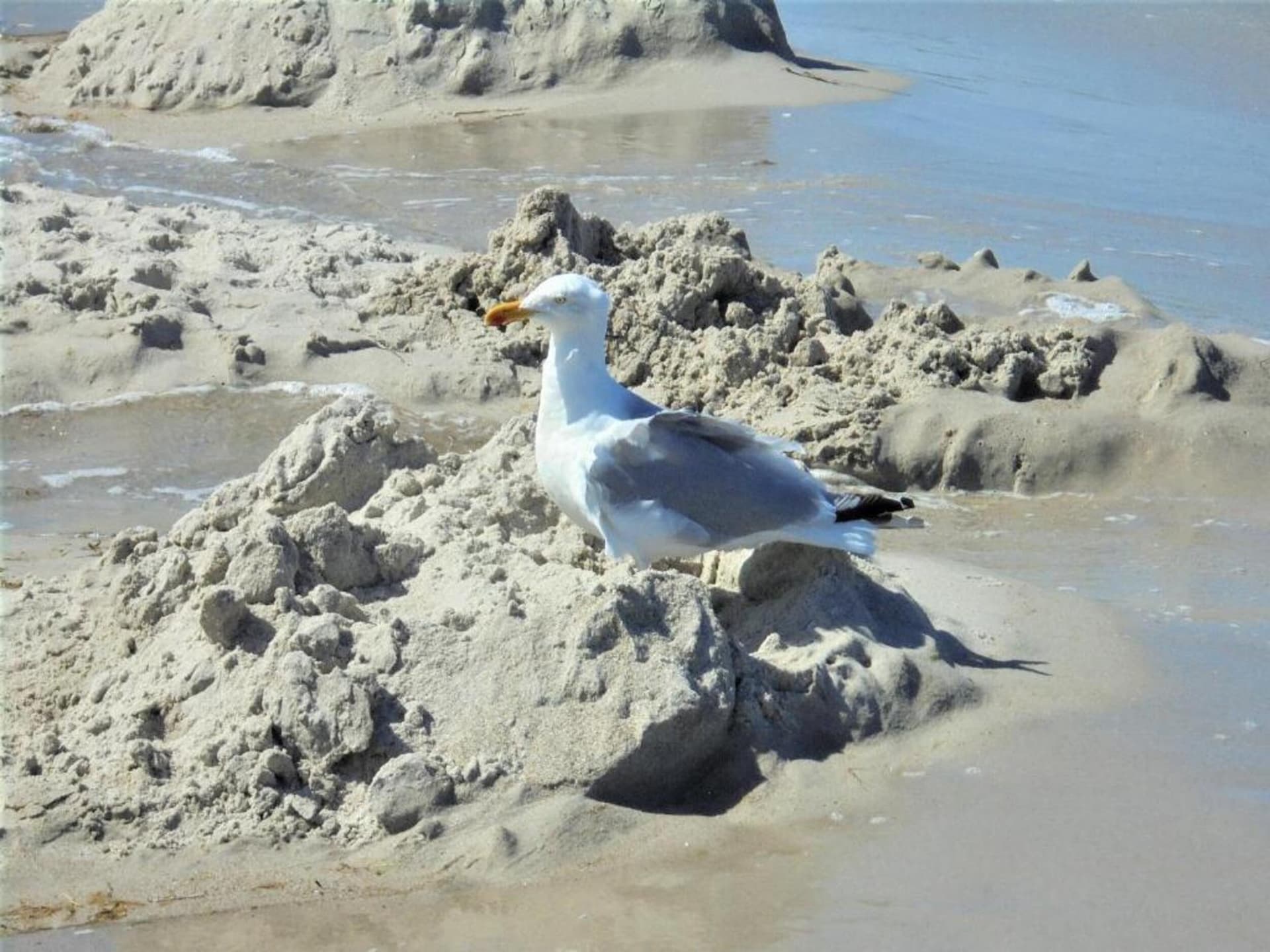 Op 500 m van het strand: ruim appartement in centrum van Zingst - foto 38