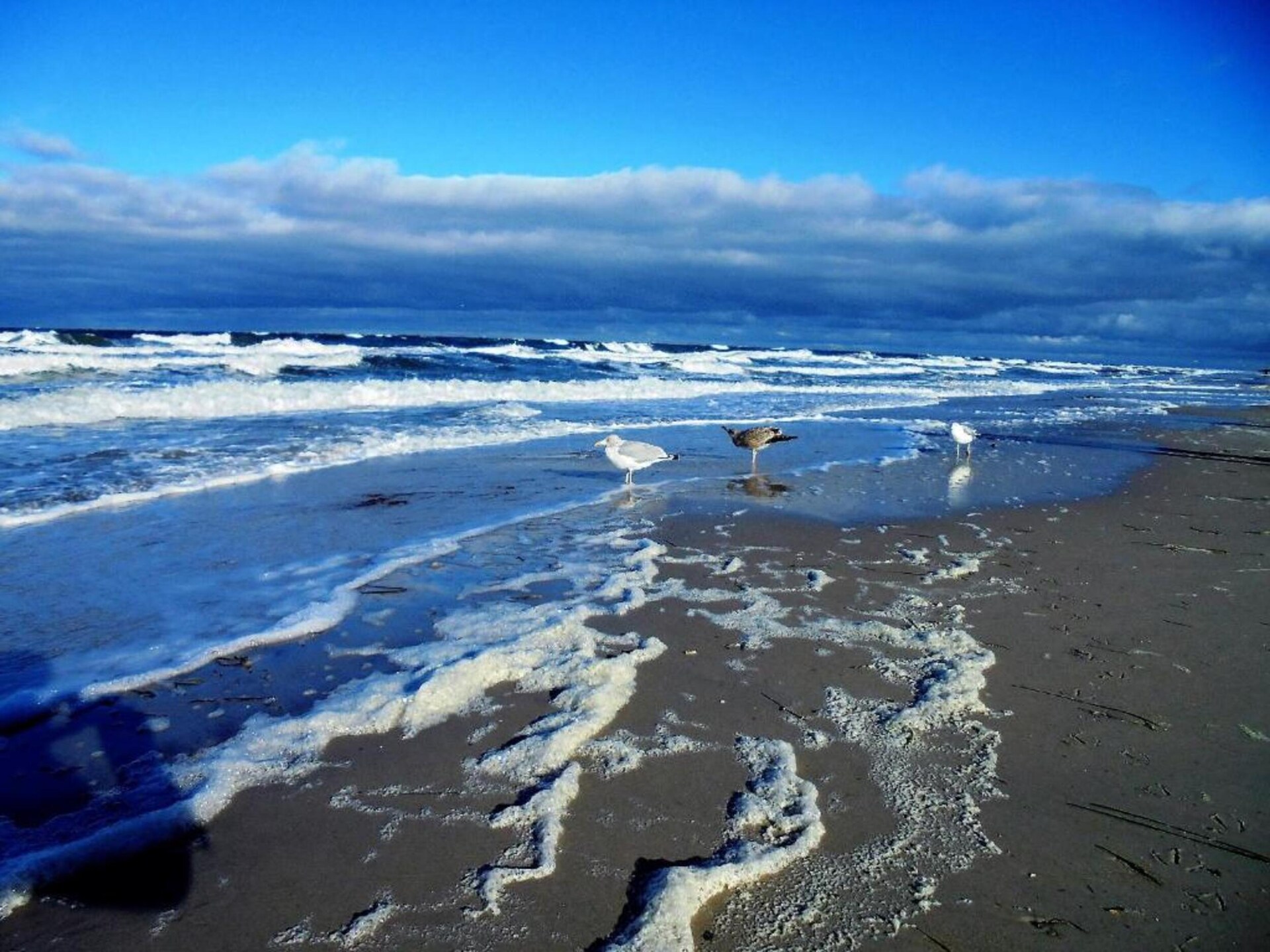 Op 500 m van het strand: ruim appartement in centrum van Zingst - foto 39