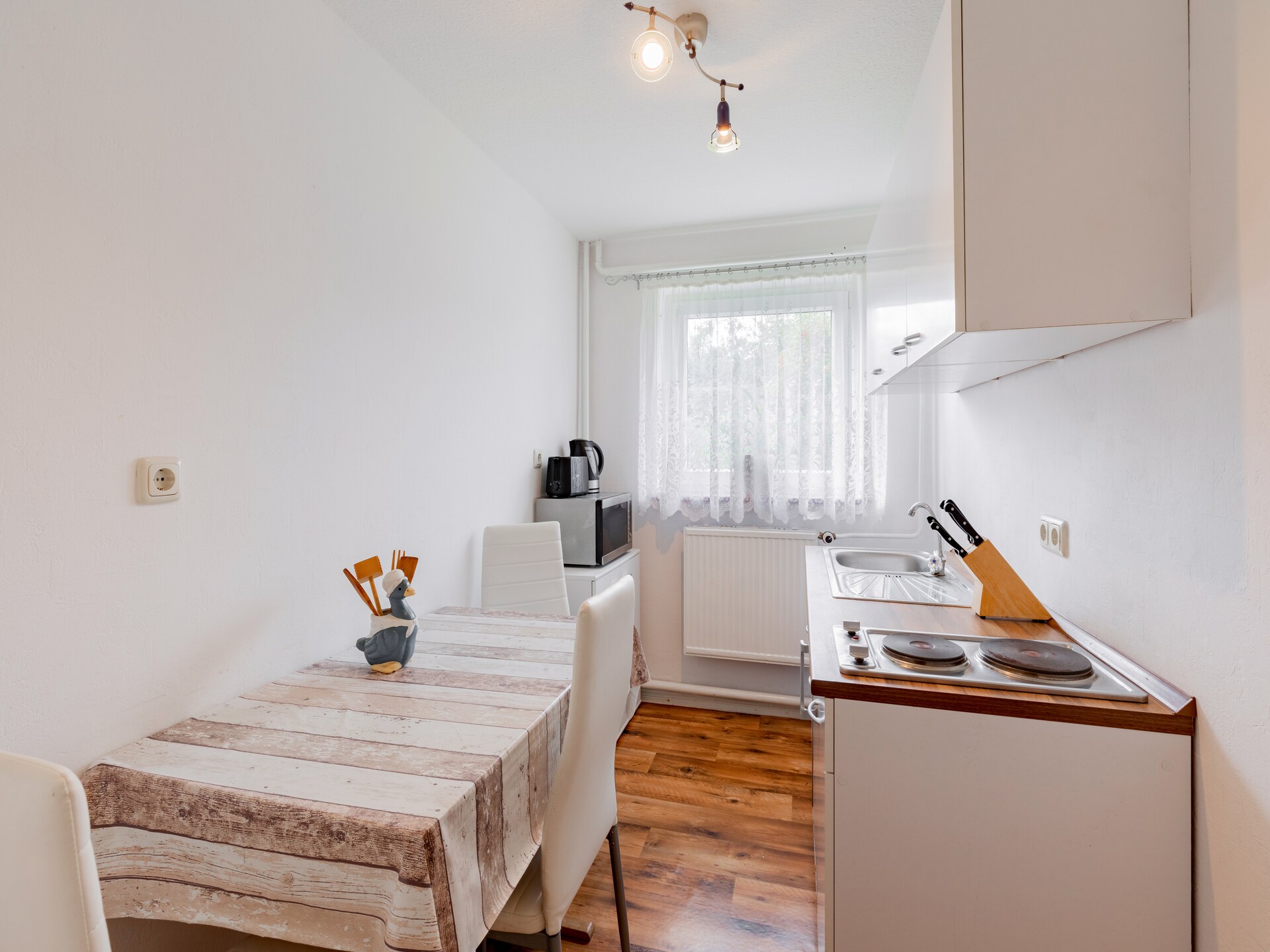 Landelijk appartement bij Kröpelin, 12 km van strand en golfbaan - foto 3