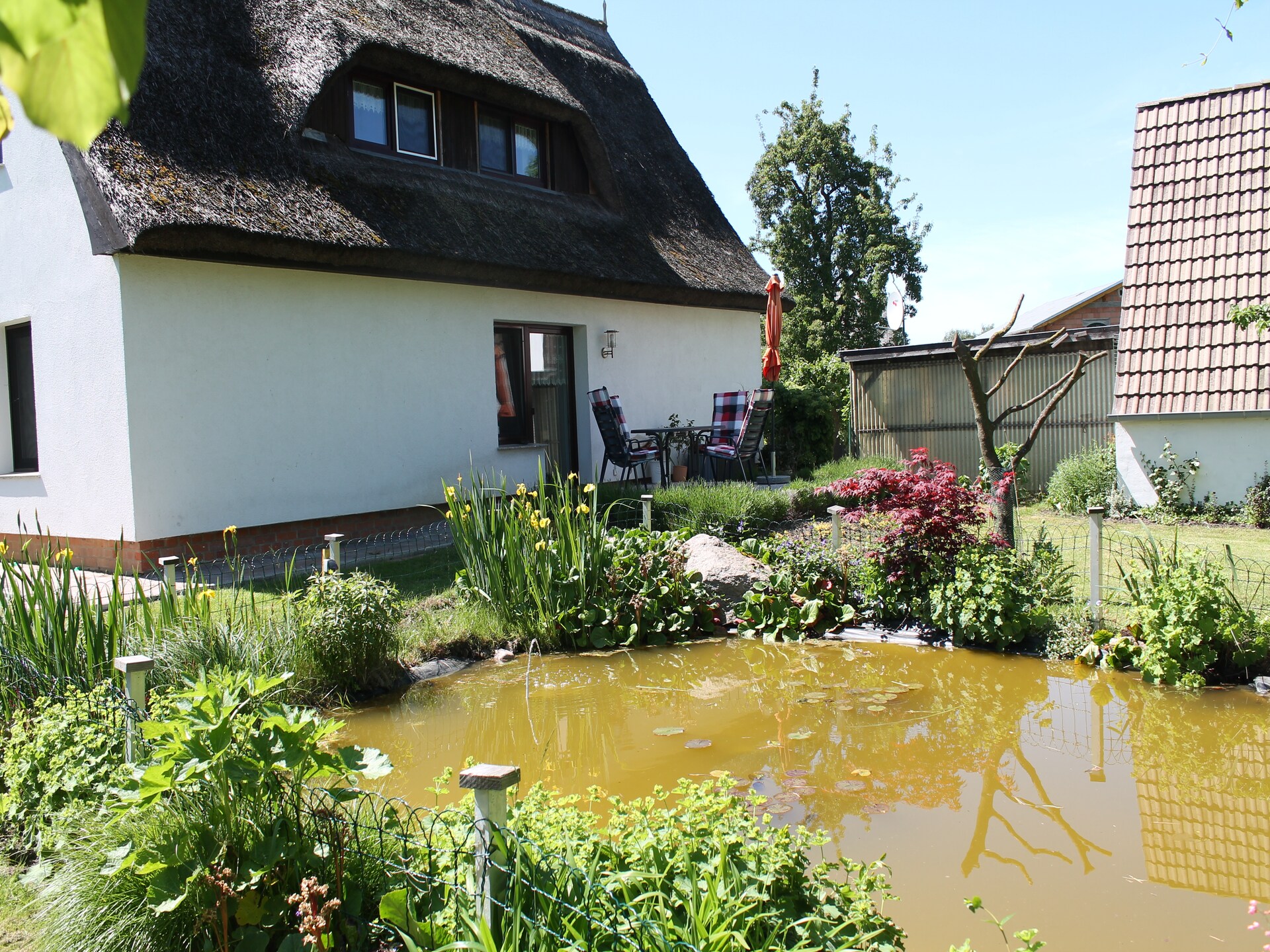 Knus Lerchennest onder riet: uw tweepersoonsappartement bij de Oostzee - foto 12