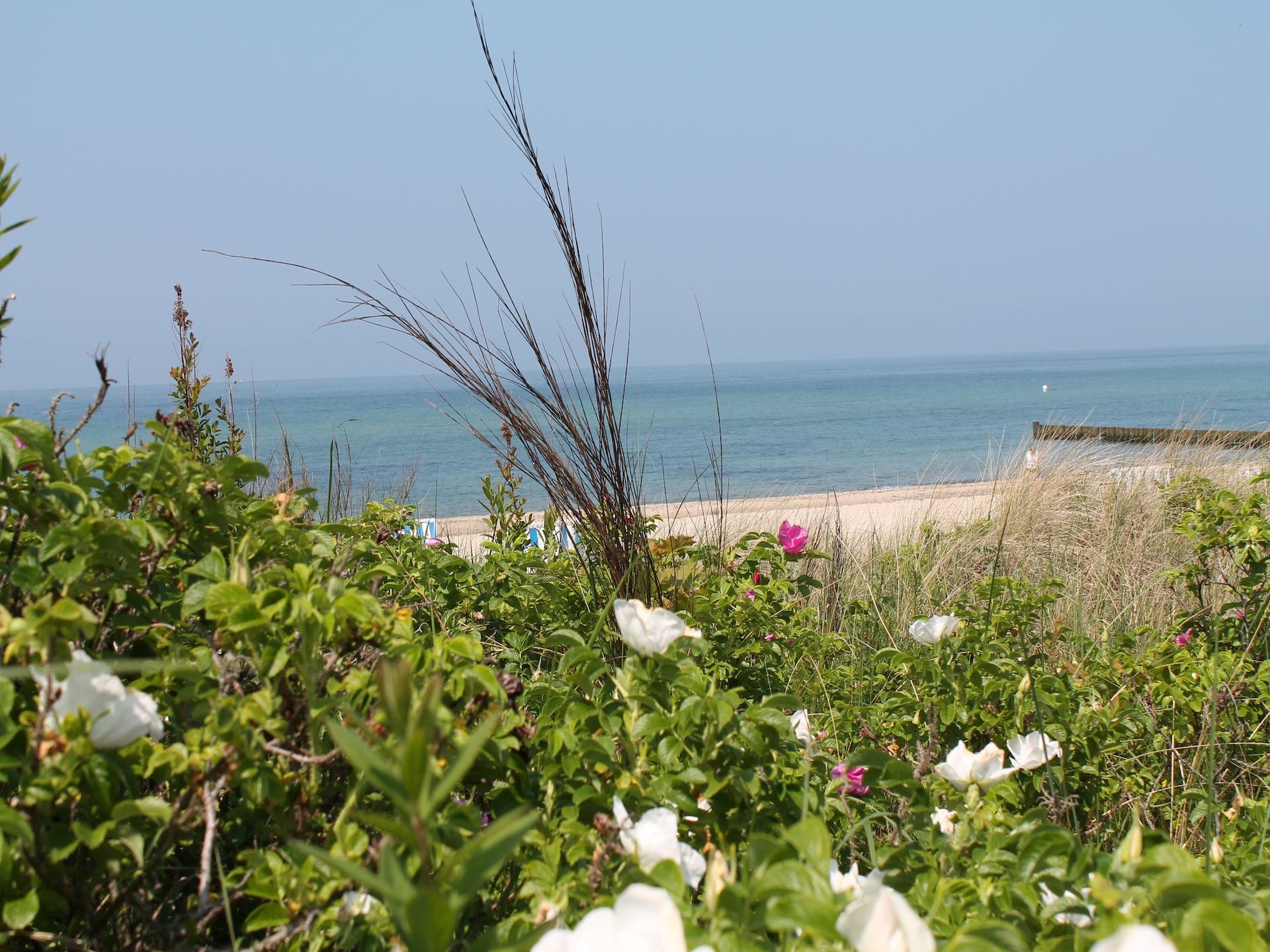 Op 600 m van het strand: Knus appartement in centrum Ostseebad Rerik - foto 21