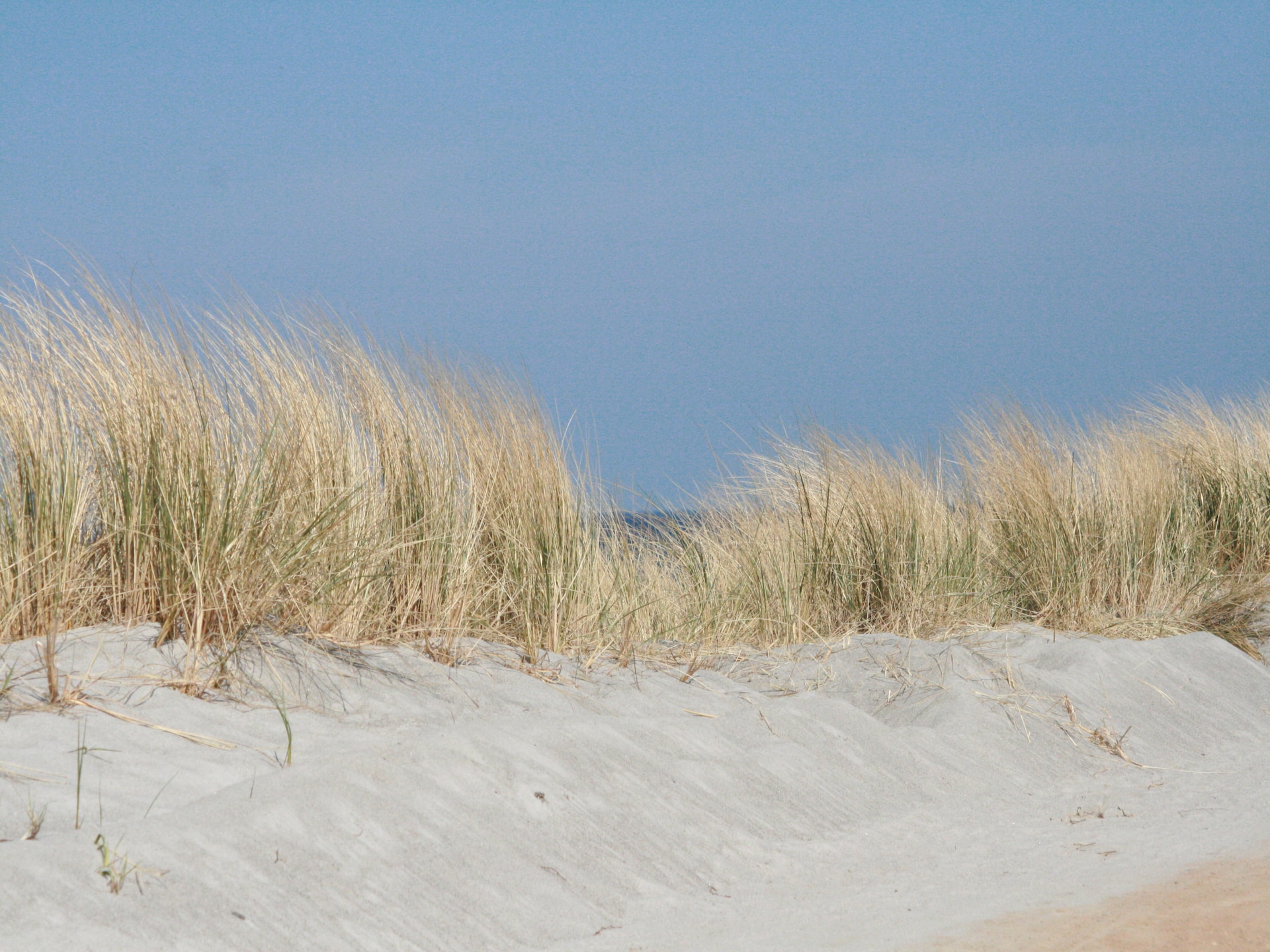Op 600 m van het strand: Knus appartement in centrum Ostseebad Rerik - foto 22