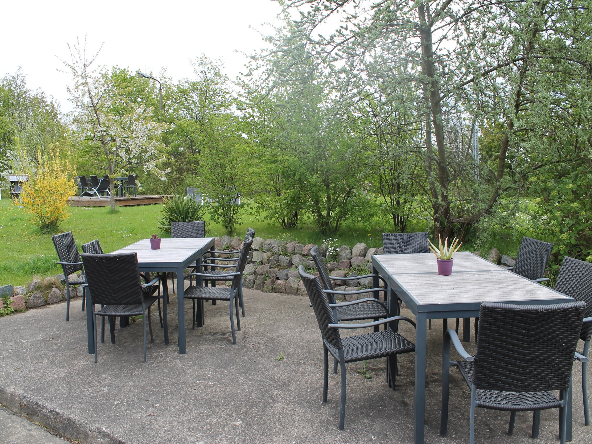 Licht appartement bij Wiek met tuin, ideaal voor stranddagen op Rügen - foto 18
