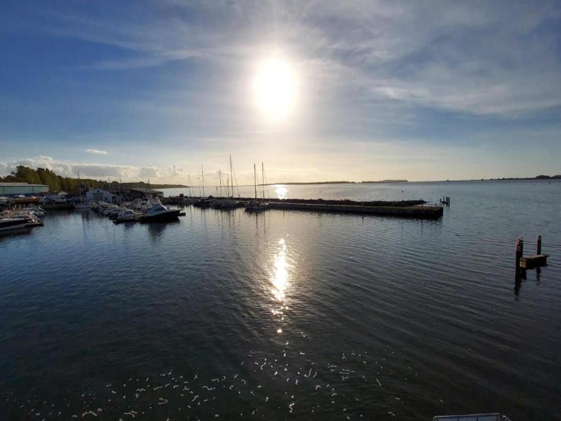 Licht appartement bij Wiek met tuin, ideaal voor stranddagen op Rügen - foto 31