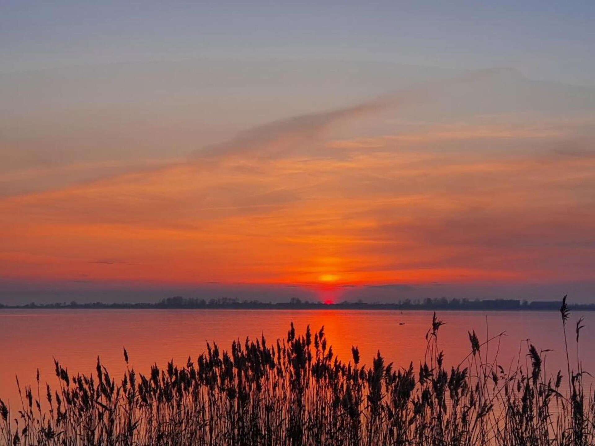 Licht appartement bij Wiek met tuin, ideaal voor stranddagen op Rügen - foto 34