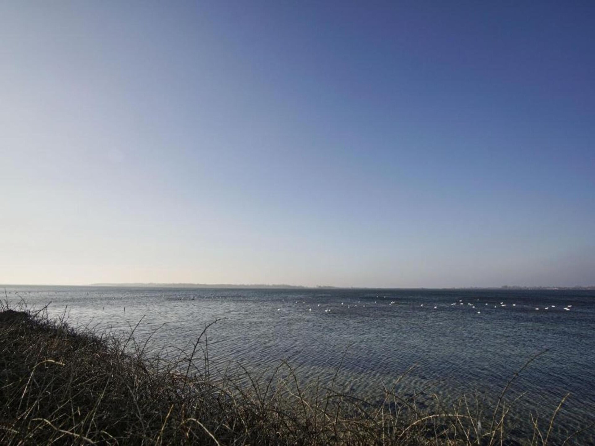 Licht appartement bij Wiek met tuin, ideaal voor stranddagen op Rügen - foto 37