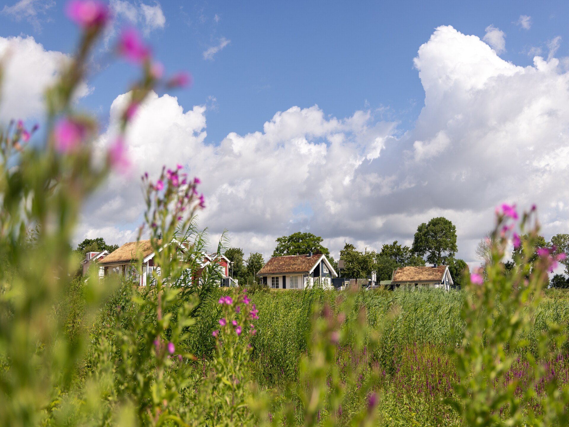 Luxe vakantiehuis in Sierksdorf met zeezicht - foto 19