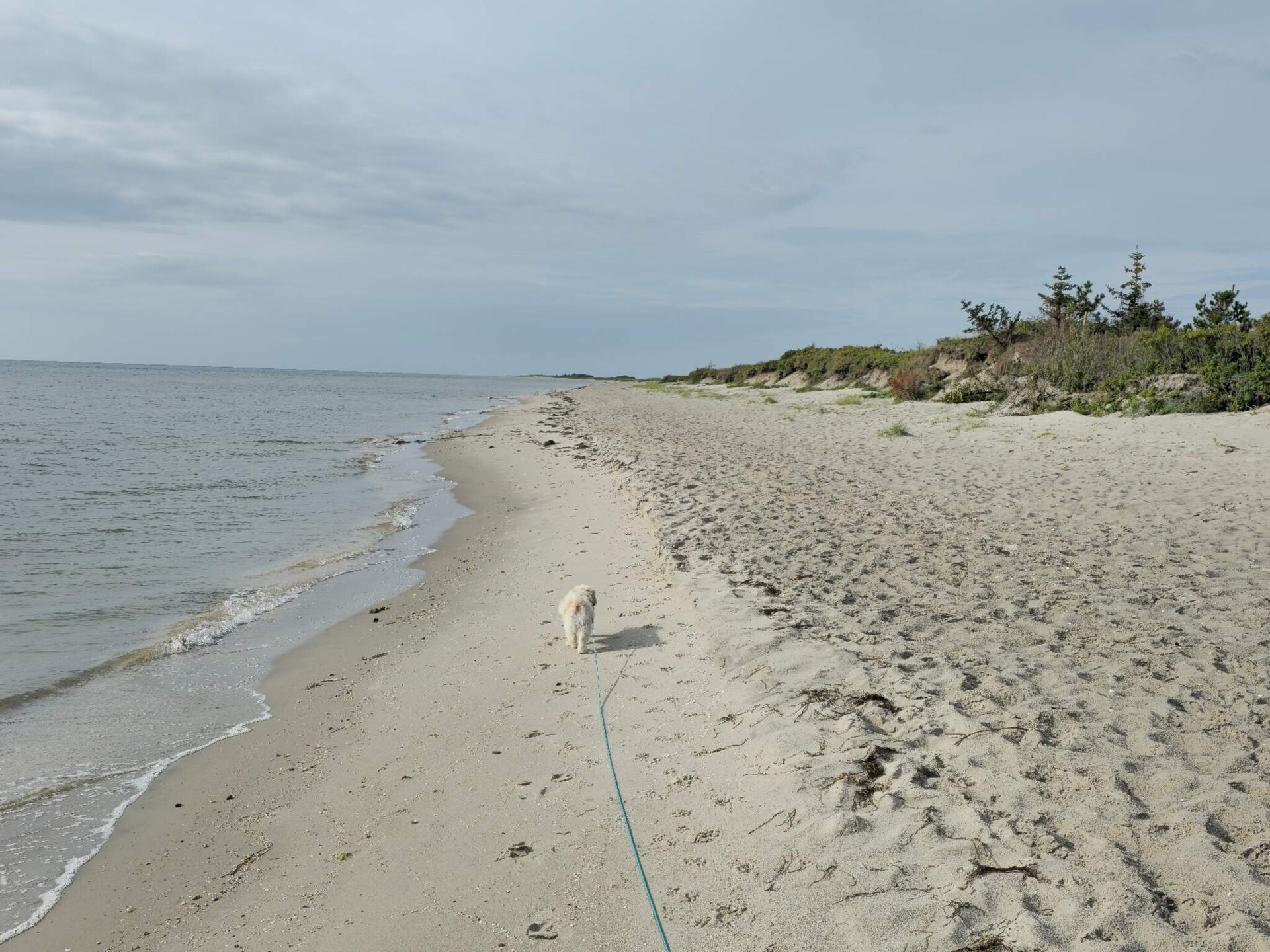 Gerenoveerd vakantiehuis met whirlpool en sauna op 1,2 km van zee in Lyngså - foto 19