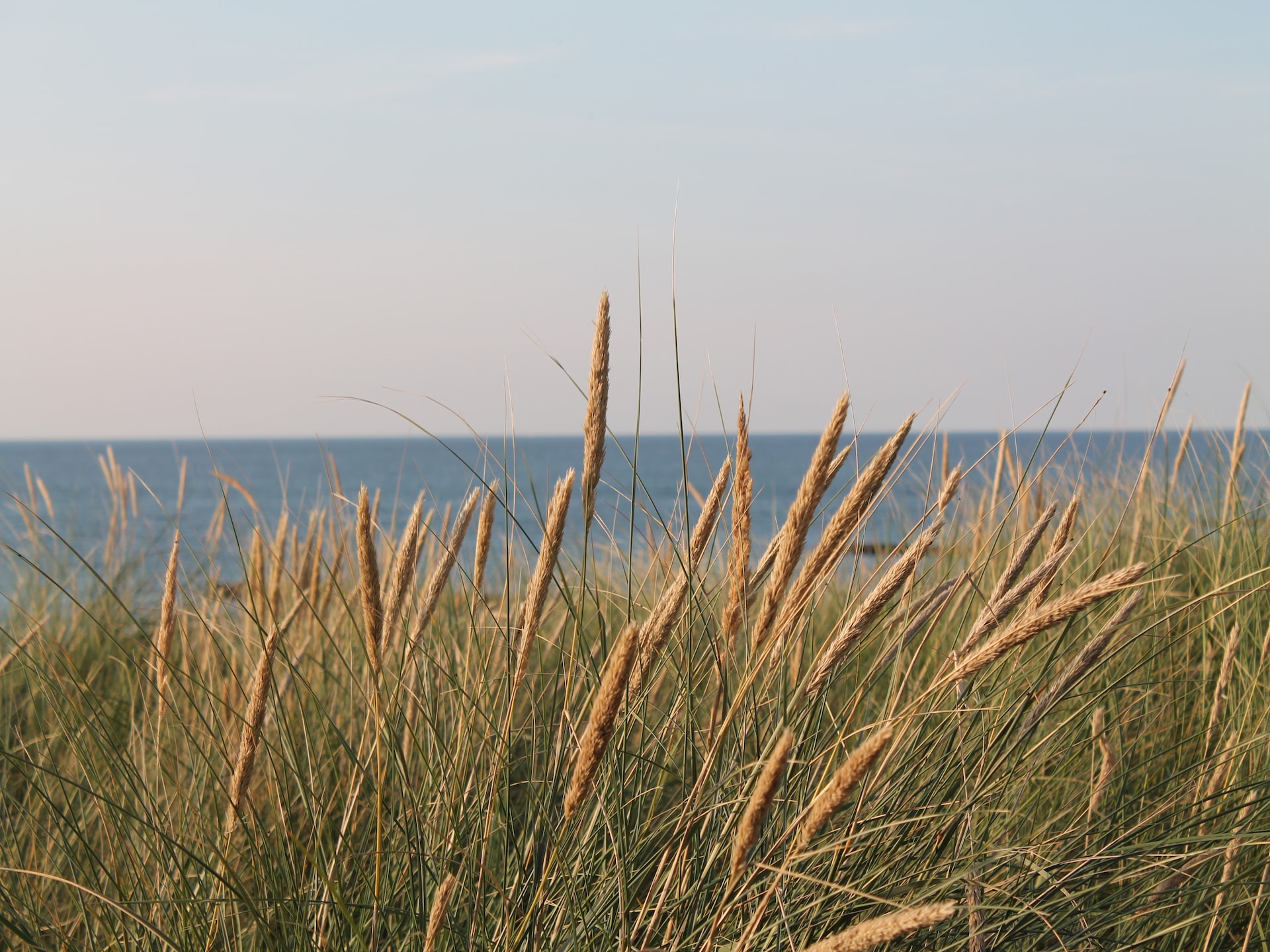 Romantisch appartement op 300m van het witte strand in Zingst - foto 20