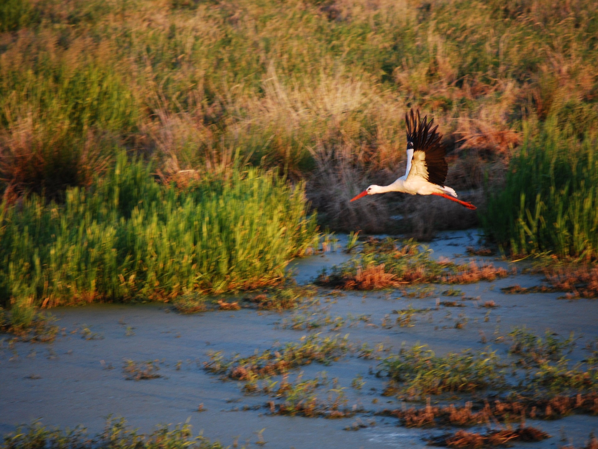Gezellig appartement in Barlin nabij het Kummerower Meer - foto 45