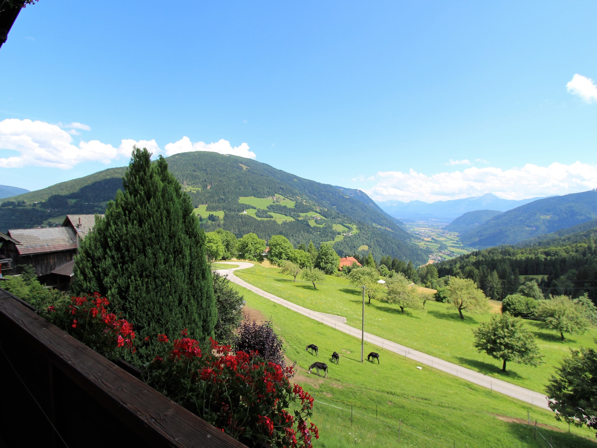 Appartement Verditz 3 met balkon en bergzicht nabij Afritz am See - foto 10