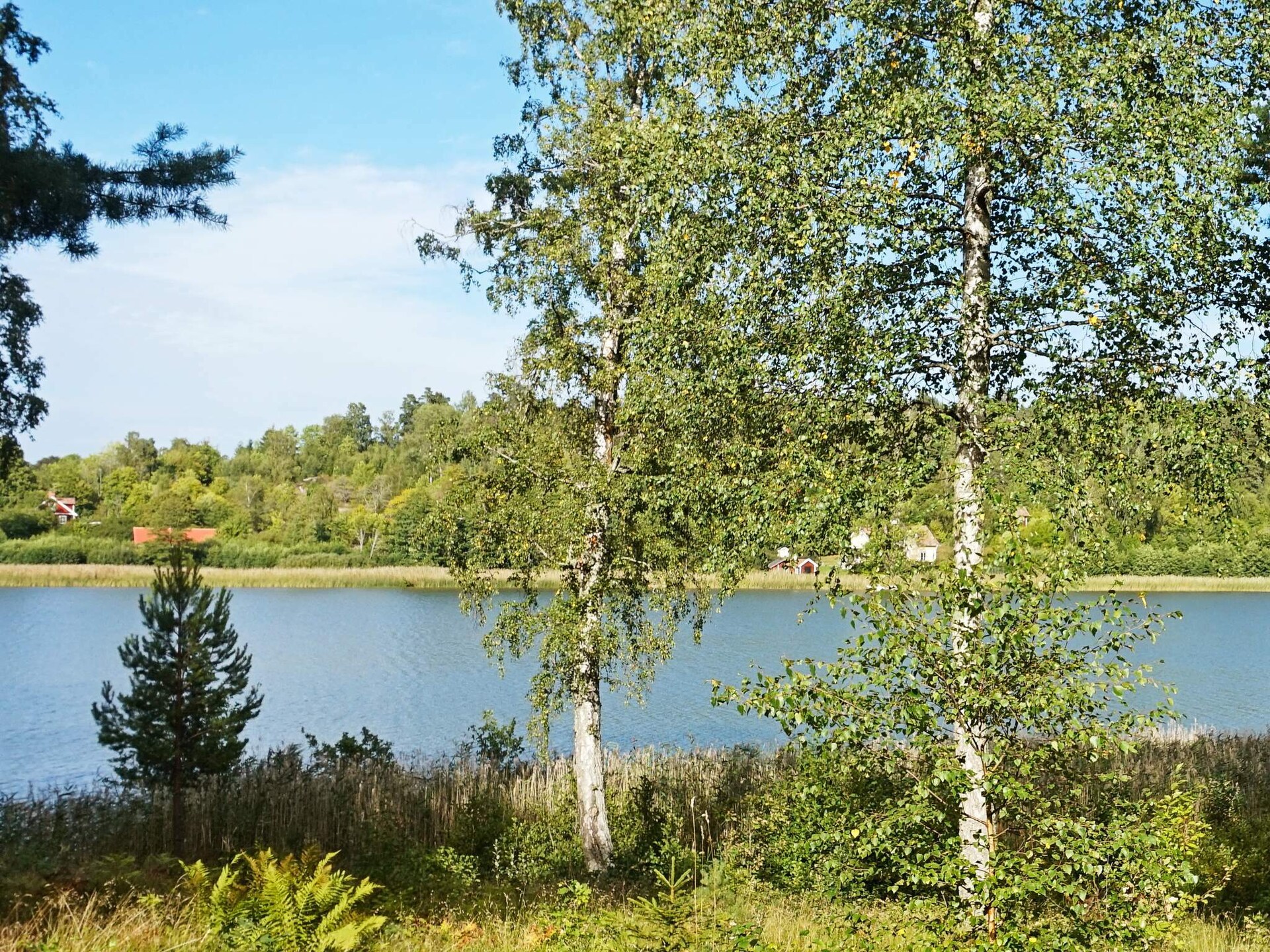Knus vakantiehuis op Ekerö met uitzicht op het Mälarmeer - foto 6