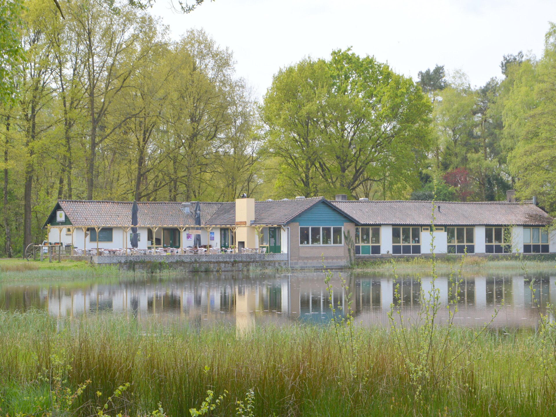 Bosbungalow met hond in hartje Limburg – rust, natuur en avontuur - foto 30
