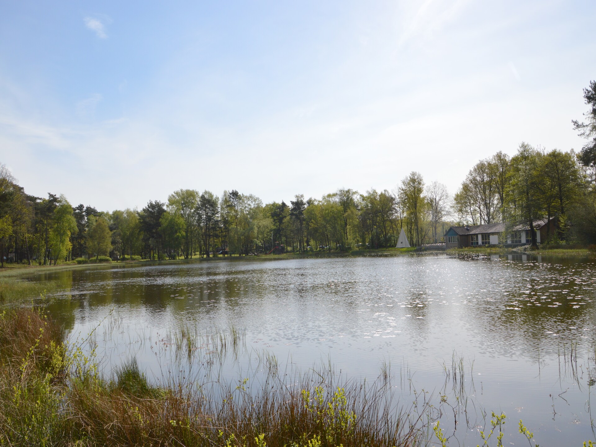 Bosbungalow met hond in hartje Limburg – rust, natuur en avontuur - foto 26