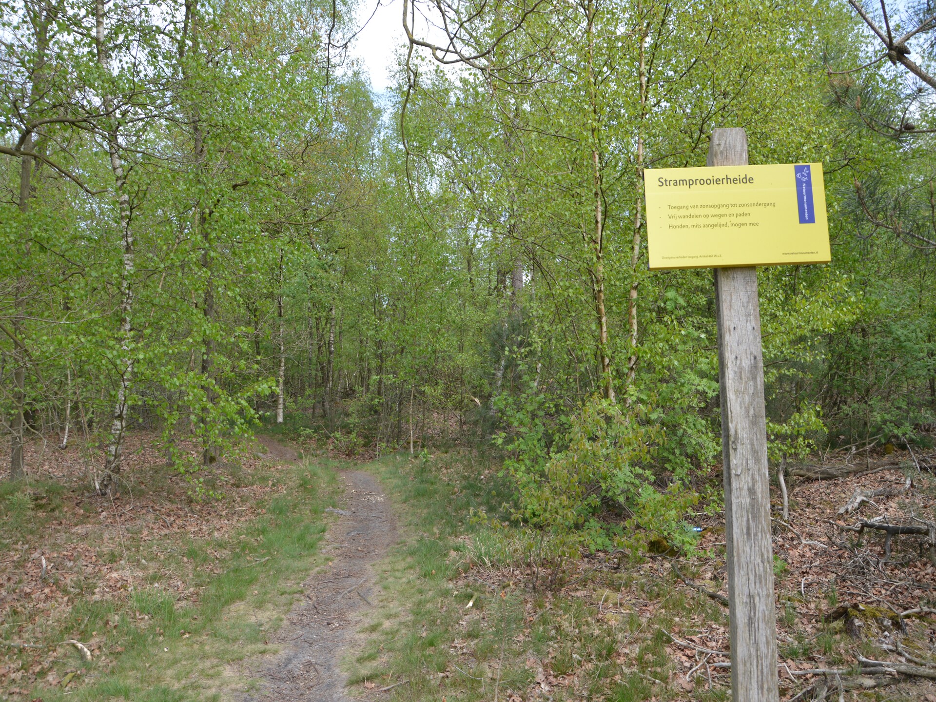 Bosbungalow met hond in hartje Limburg – rust, natuur en avontuur - foto 33
