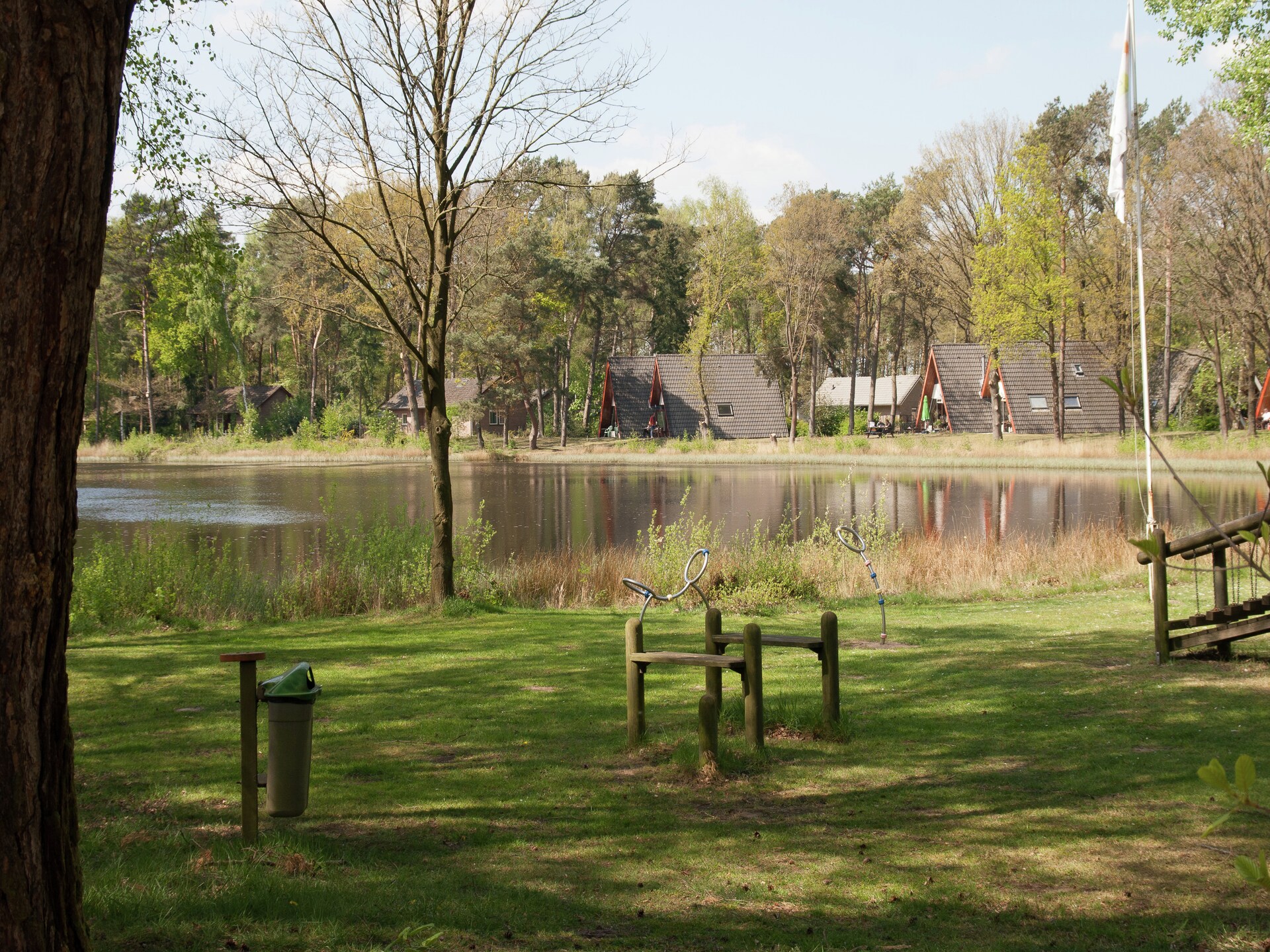 Bosbungalow met hond in hartje Limburg – rust, natuur en avontuur - foto 22