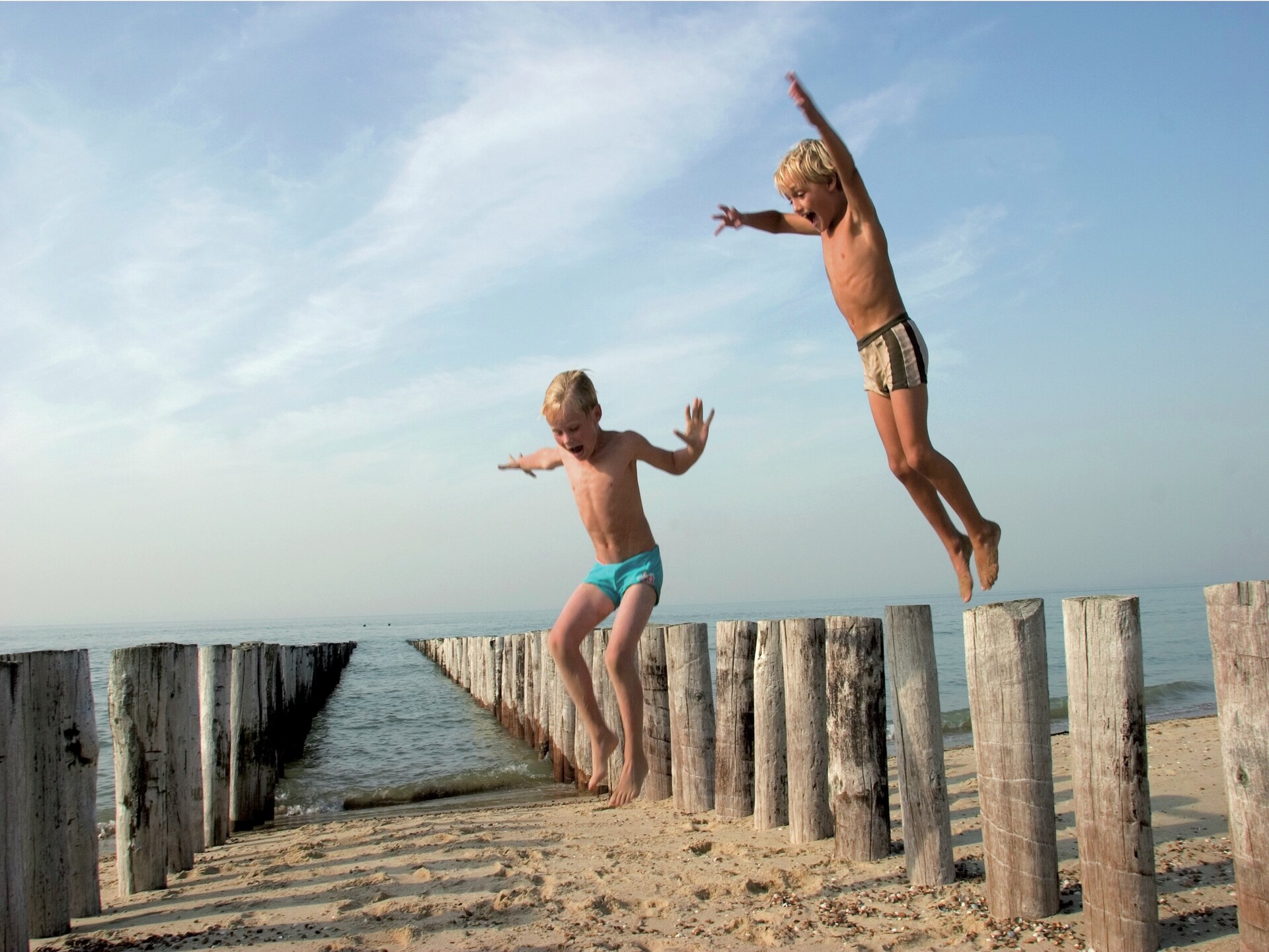 Modern vakantiehuis op Hof Domburg, 4 pers., huisdieren welkom - foto 17