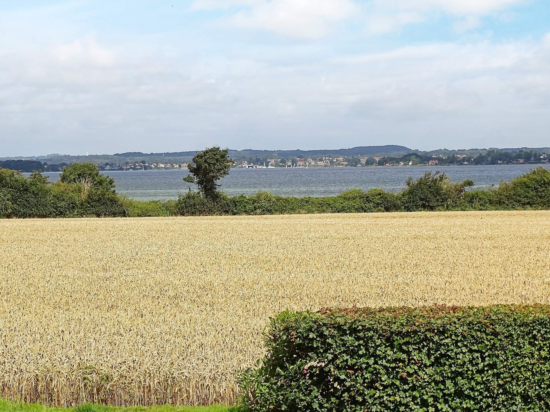 8-persoons vakantiehuis aan zee in Svendborg met panoramisch uitzicht - foto 15