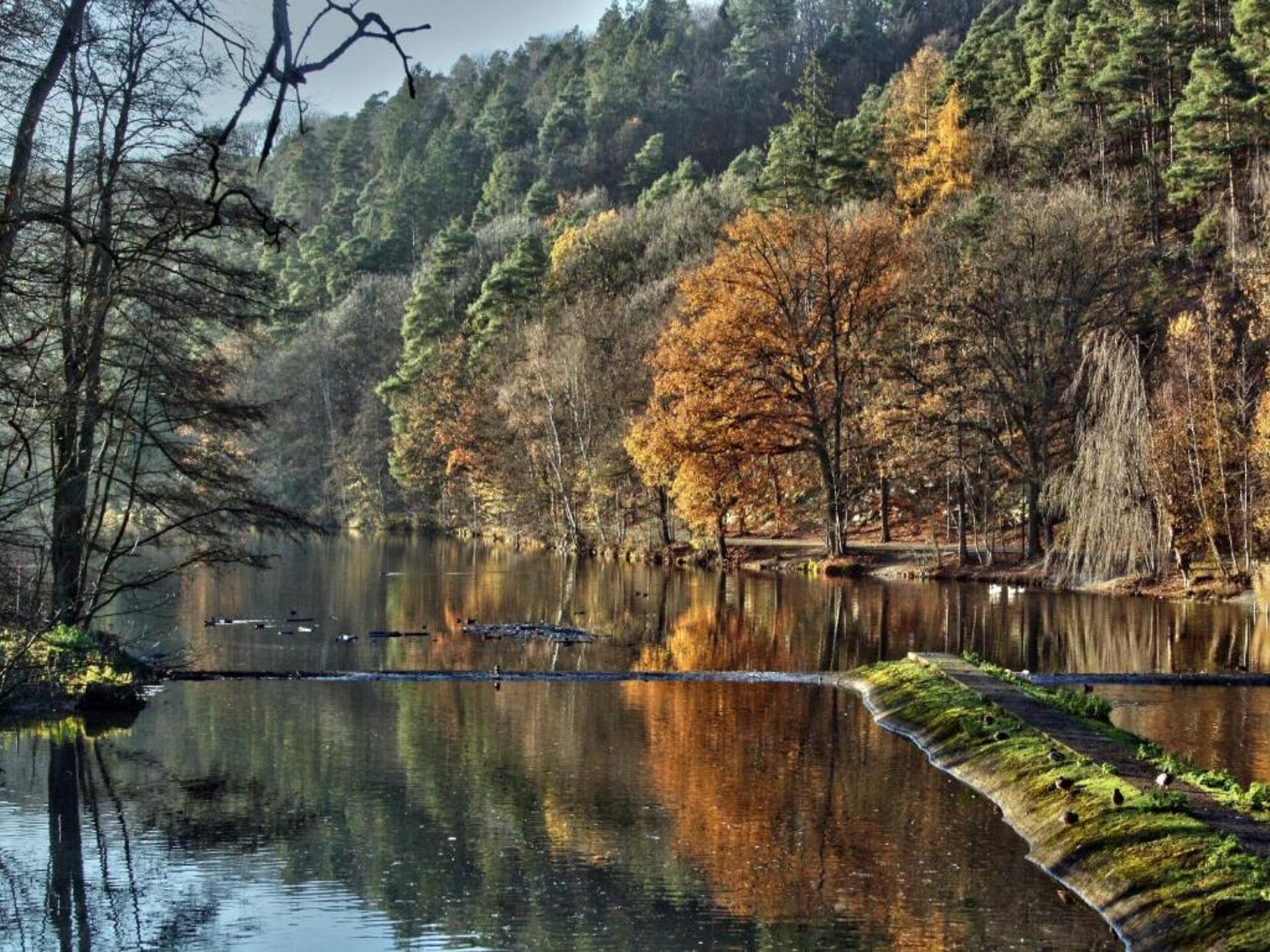 Luxe vakantiehuis Villa Balmoral 22 in Spa voor 22 personen - foto 31