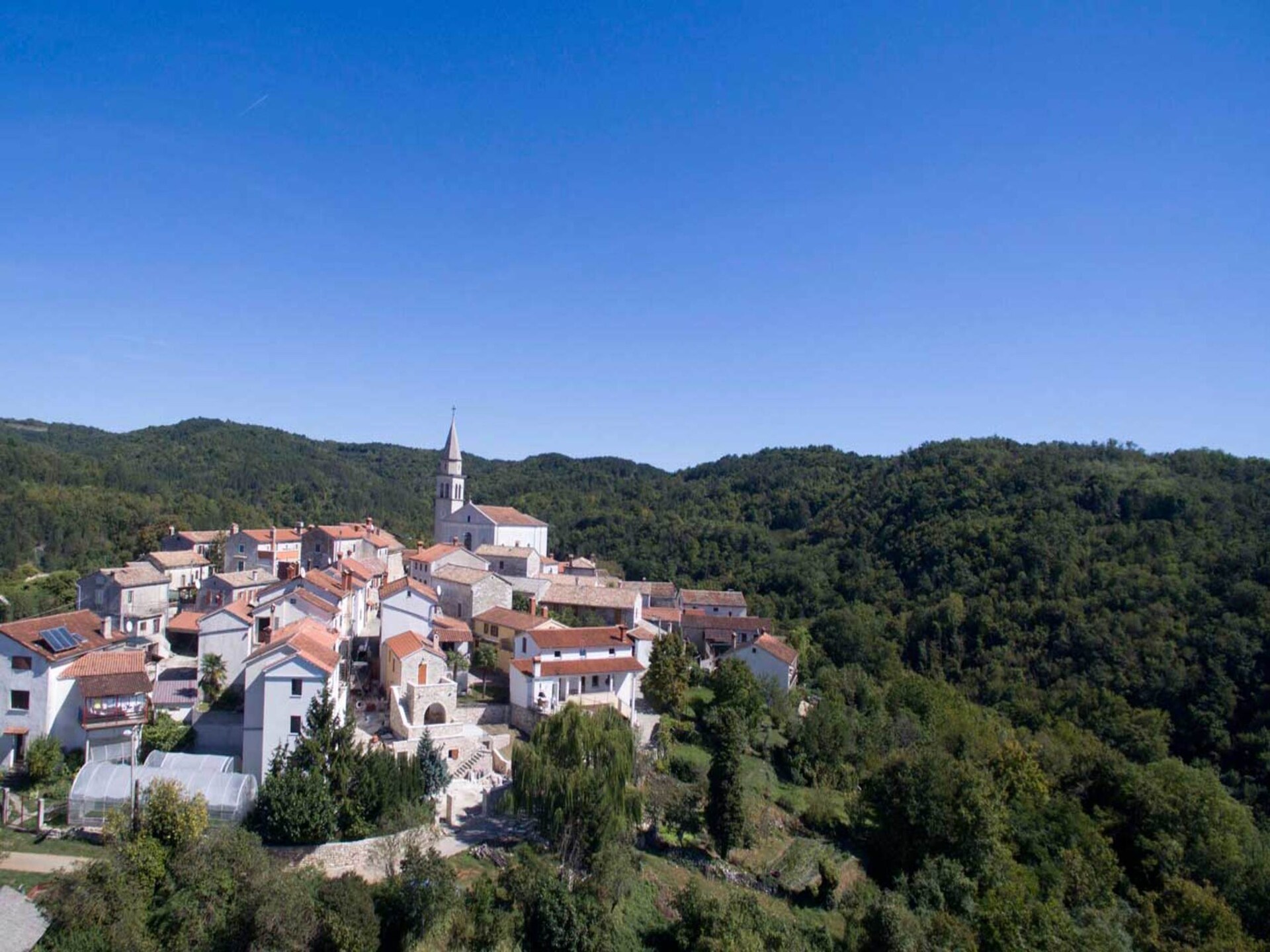 Privézwembad en rust in Villa Beram, Pazin - foto 37