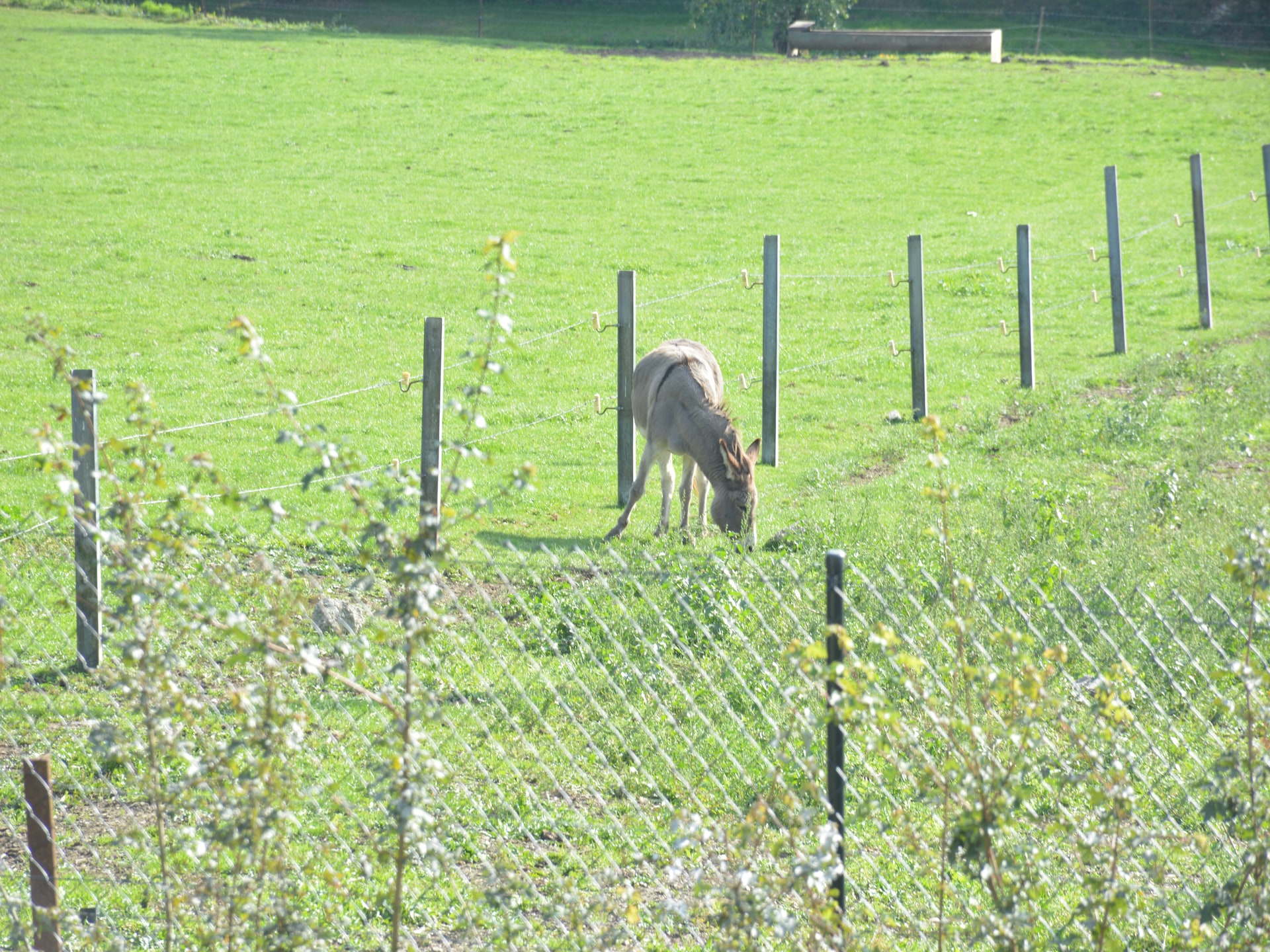 8-persoons villa met paardenstalling in bosrijk Vodelée - foto 33
