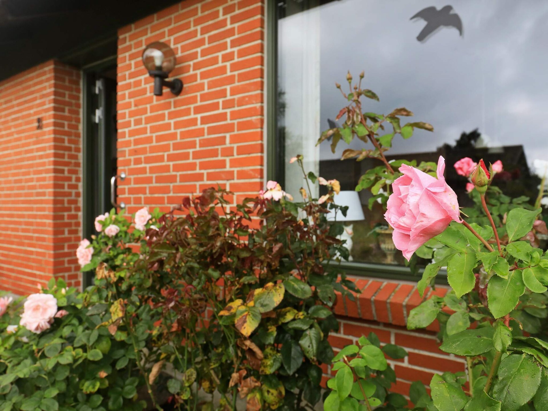 Op 700 m van zee: gezellig vakantiehuis in Ærøskøbing - foto 35