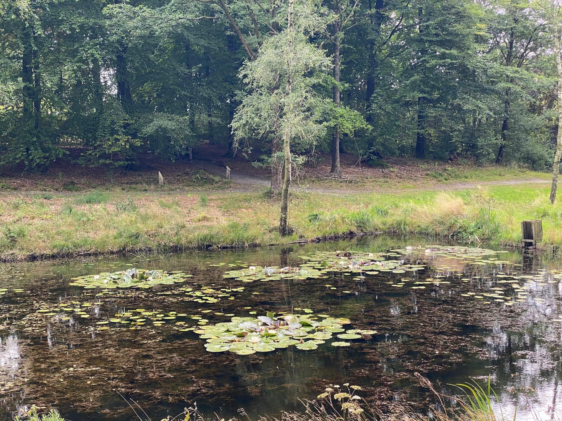 Vakantiehuis aan de Holme Å in Grindsted, Denemarken - foto 9