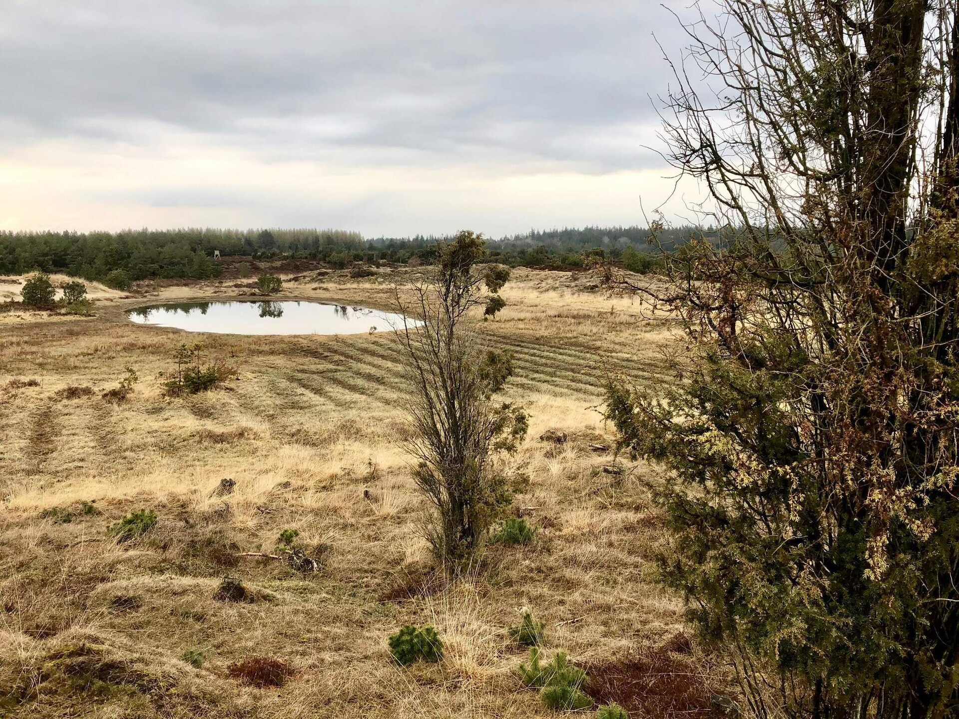 Vakantiehuis aan de Holme Å in Grindsted, Denemarken - foto 10