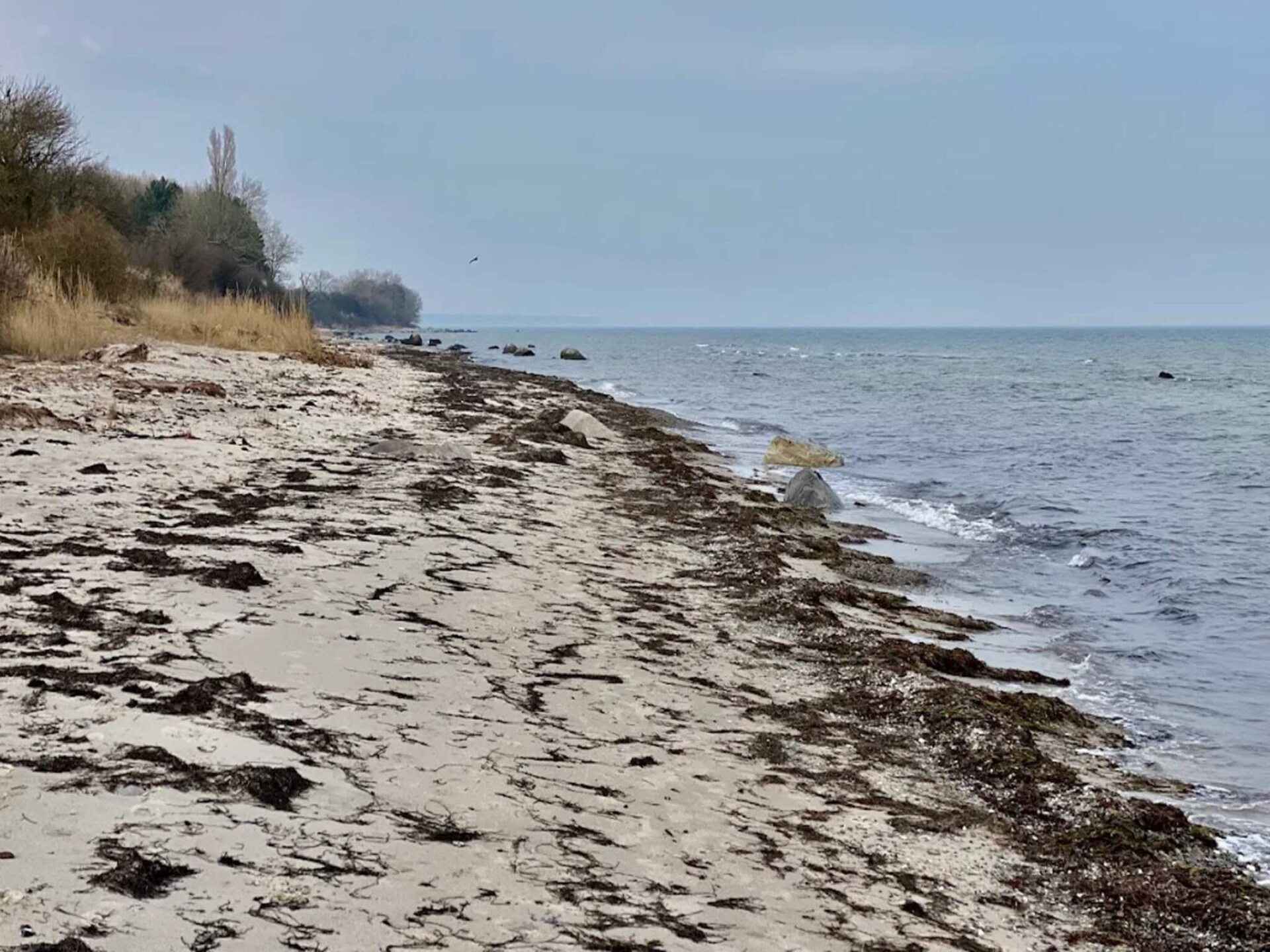 Ruim vakantiehuis met privézwembad, sauna en whirlpool op 600m van het strand - foto 22