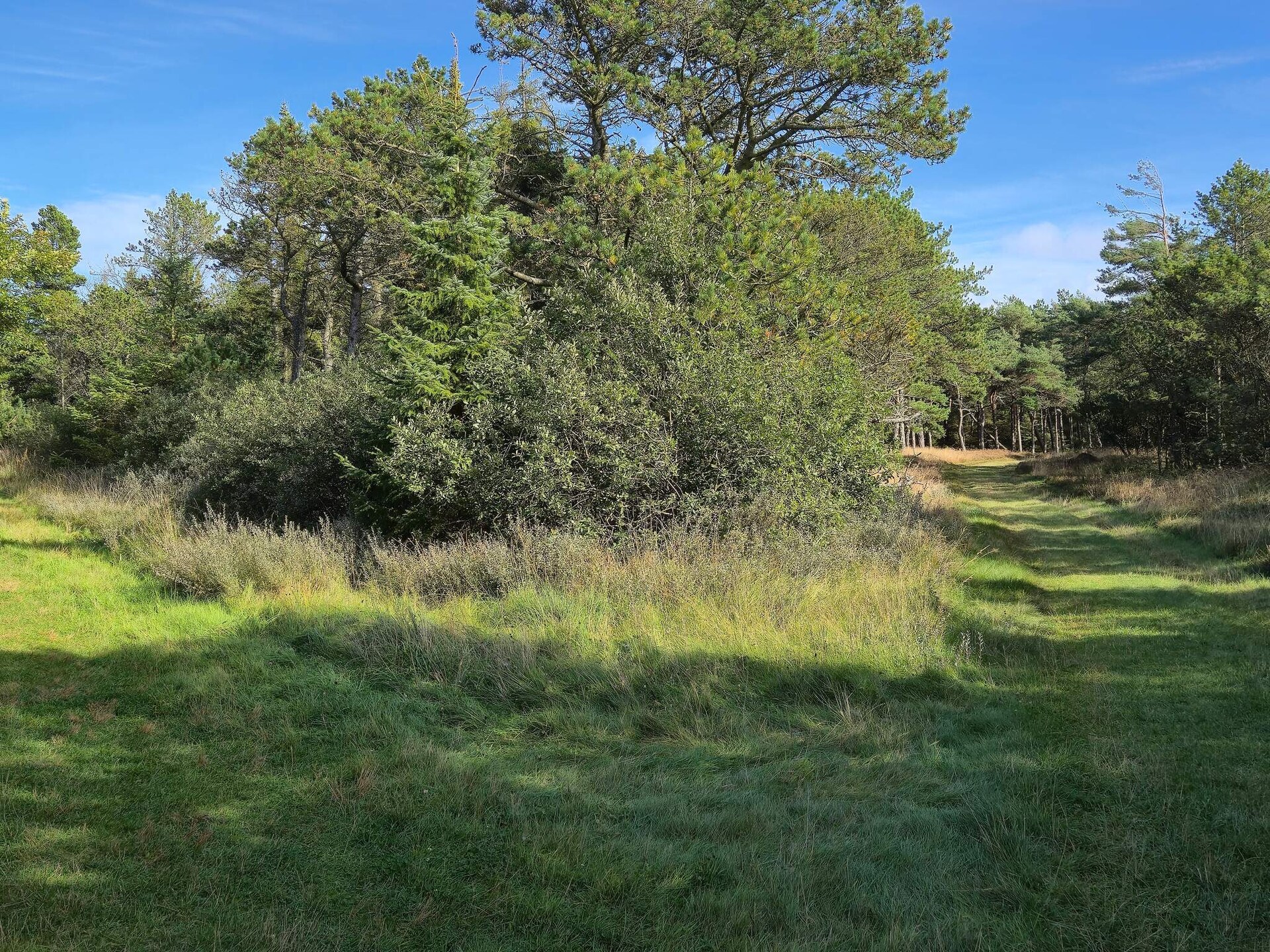 Modern vakantiehuis met wellness en recreatie, 2,5 km van zee op Rømø - foto 6