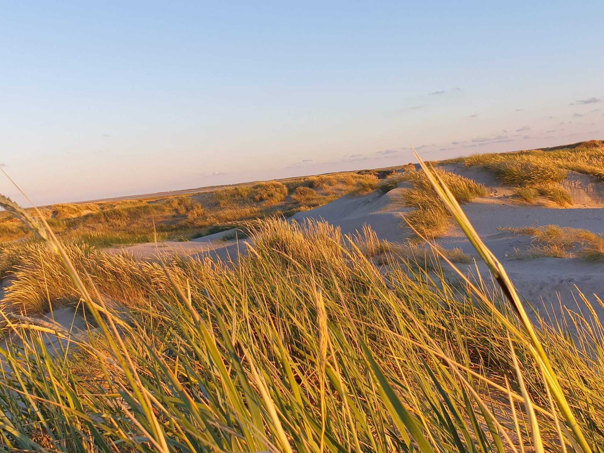 Modern vakantiehuis met wellness en recreatie, 2,5 km van zee op Rømø - foto 9