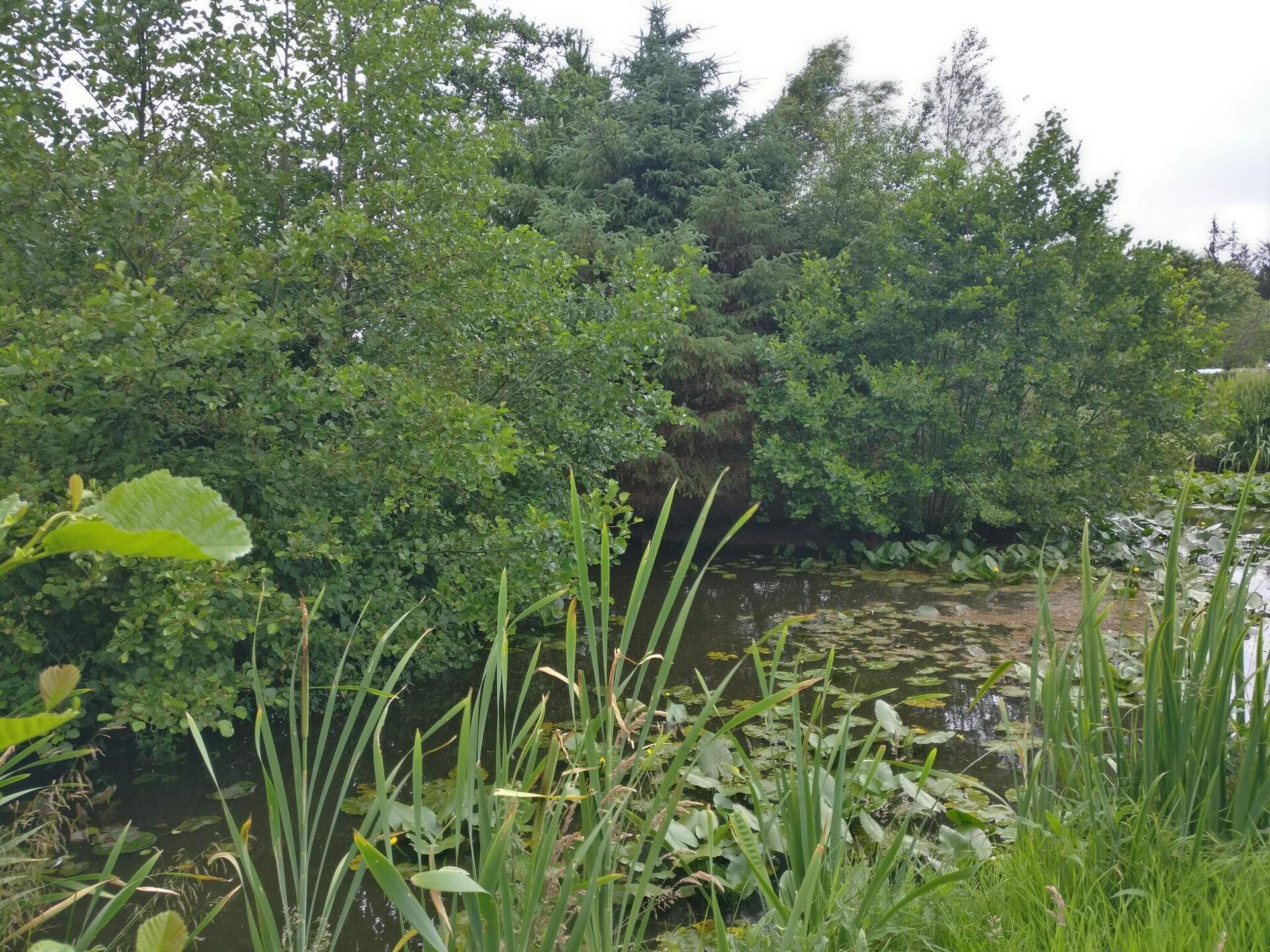 Gezellig vakantiehuis in de groene Blåbjerg Plantage, Nørre Nebel - foto 18