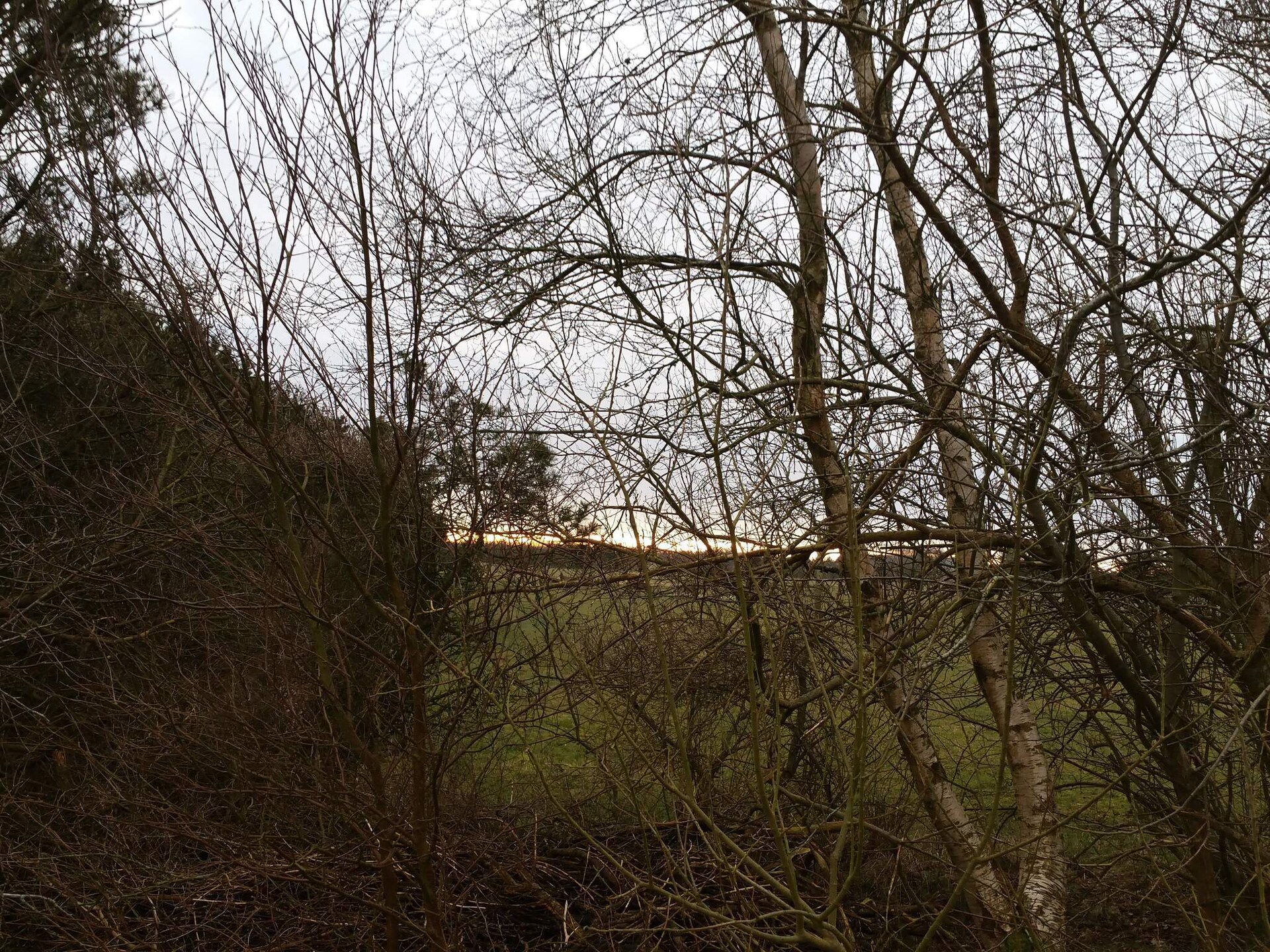Gezellig vakantiehuis in de groene Blåbjerg Plantage, Nørre Nebel - foto 25