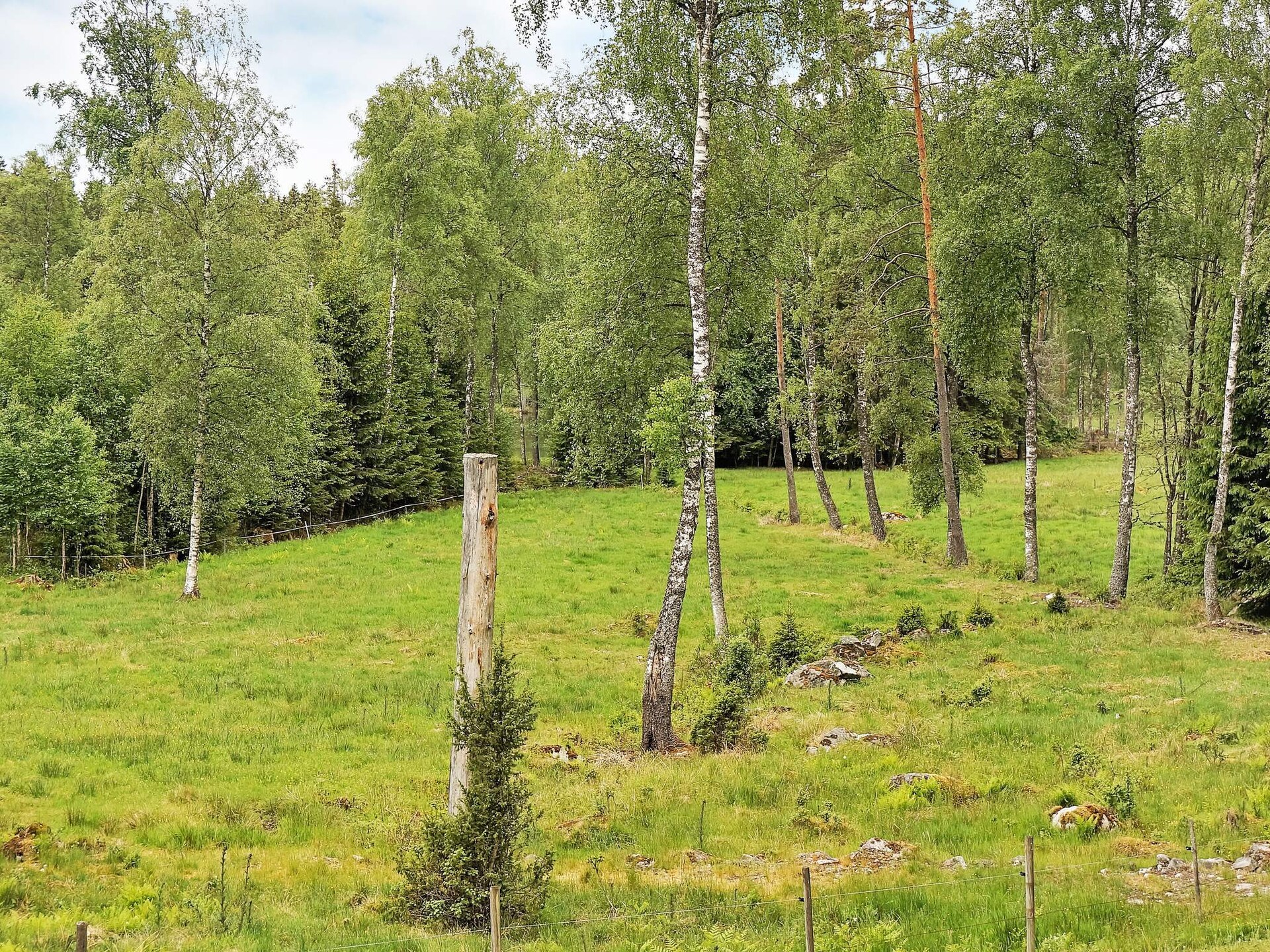 Houten vakantiehuis aan bosrand met sauna en meertje op 100 meter - foto 7