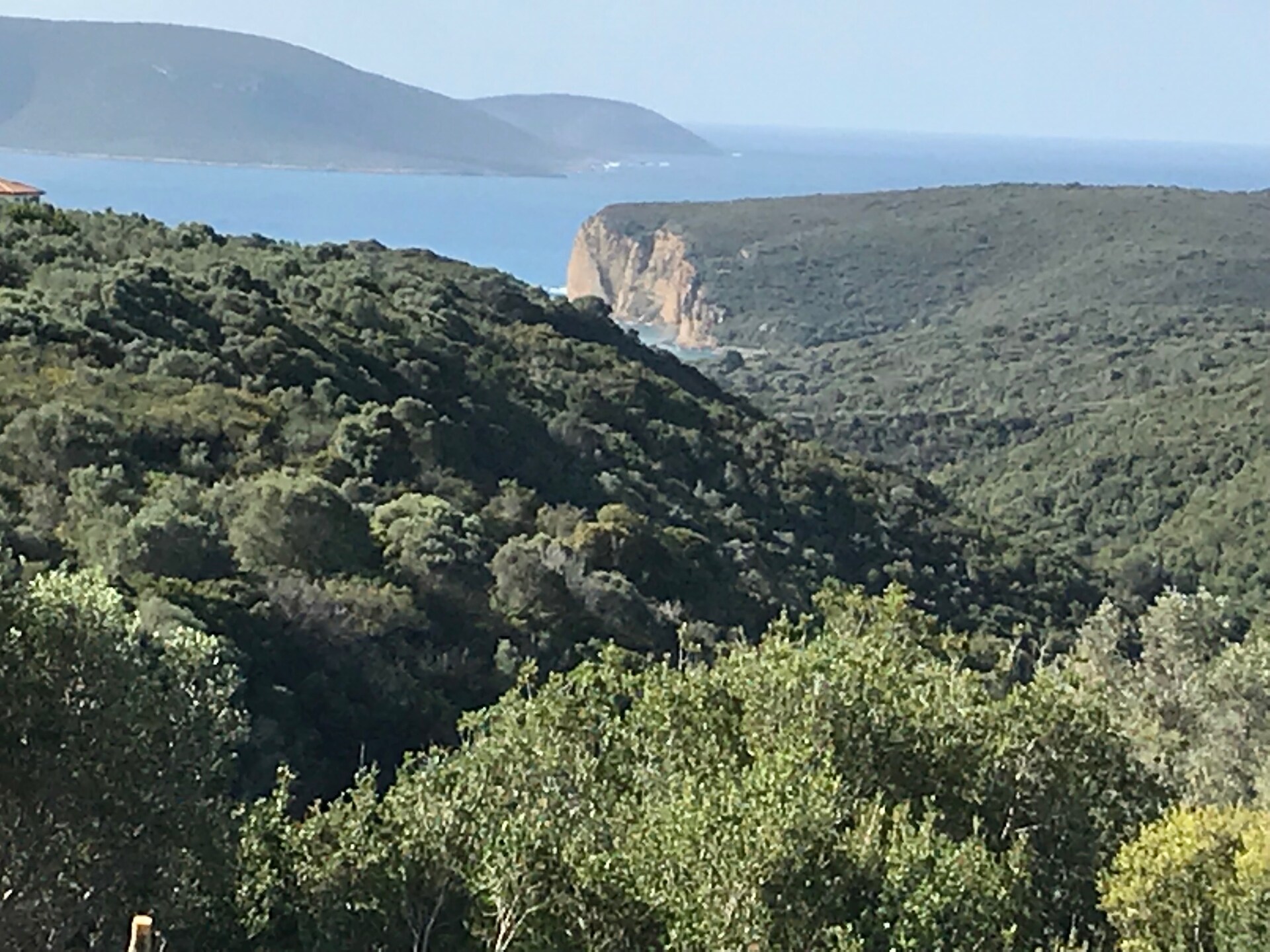 Villa Elia: Luxe privévilla met panoramisch uitzicht in olijfgaard nabij Finikounda - foto 16