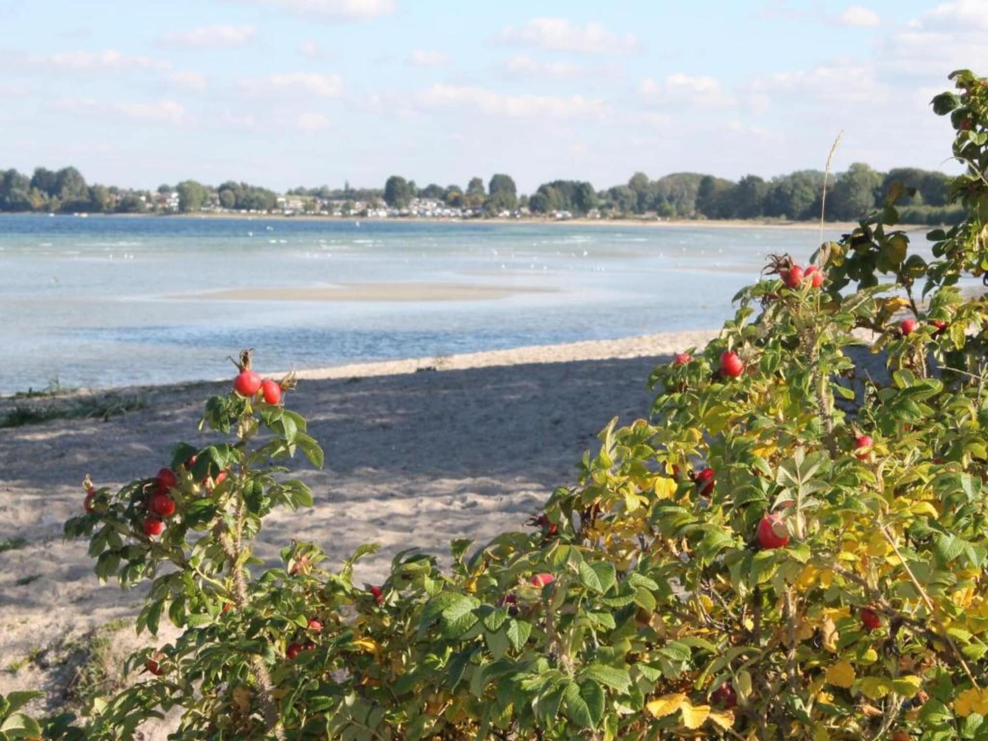 Aan zee: Gezellige bungalow in Pepelow voor 4 personen - foto 34