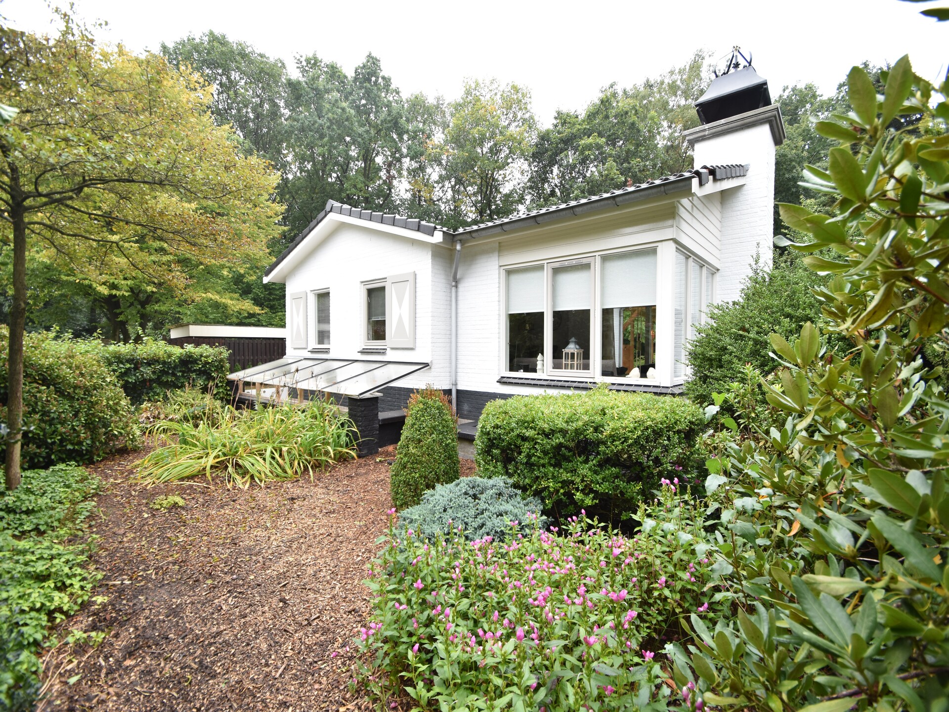 't Woudhuis: sfeervol vakantiehuis in de bossen van Holten - foto 8