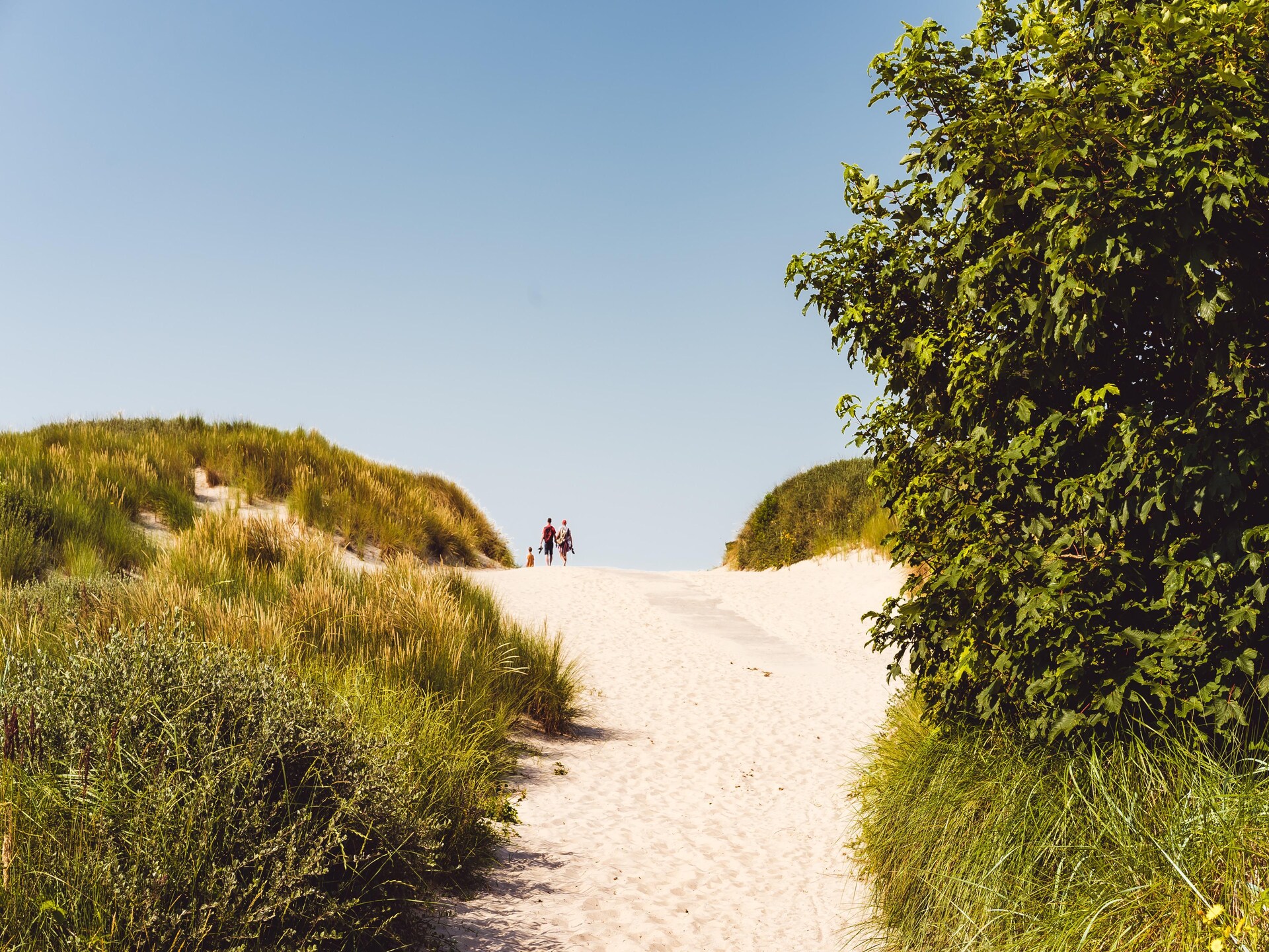 Sea Lodge Ameland: modern vakantiehuis in de duinen, honden welkom - foto 20