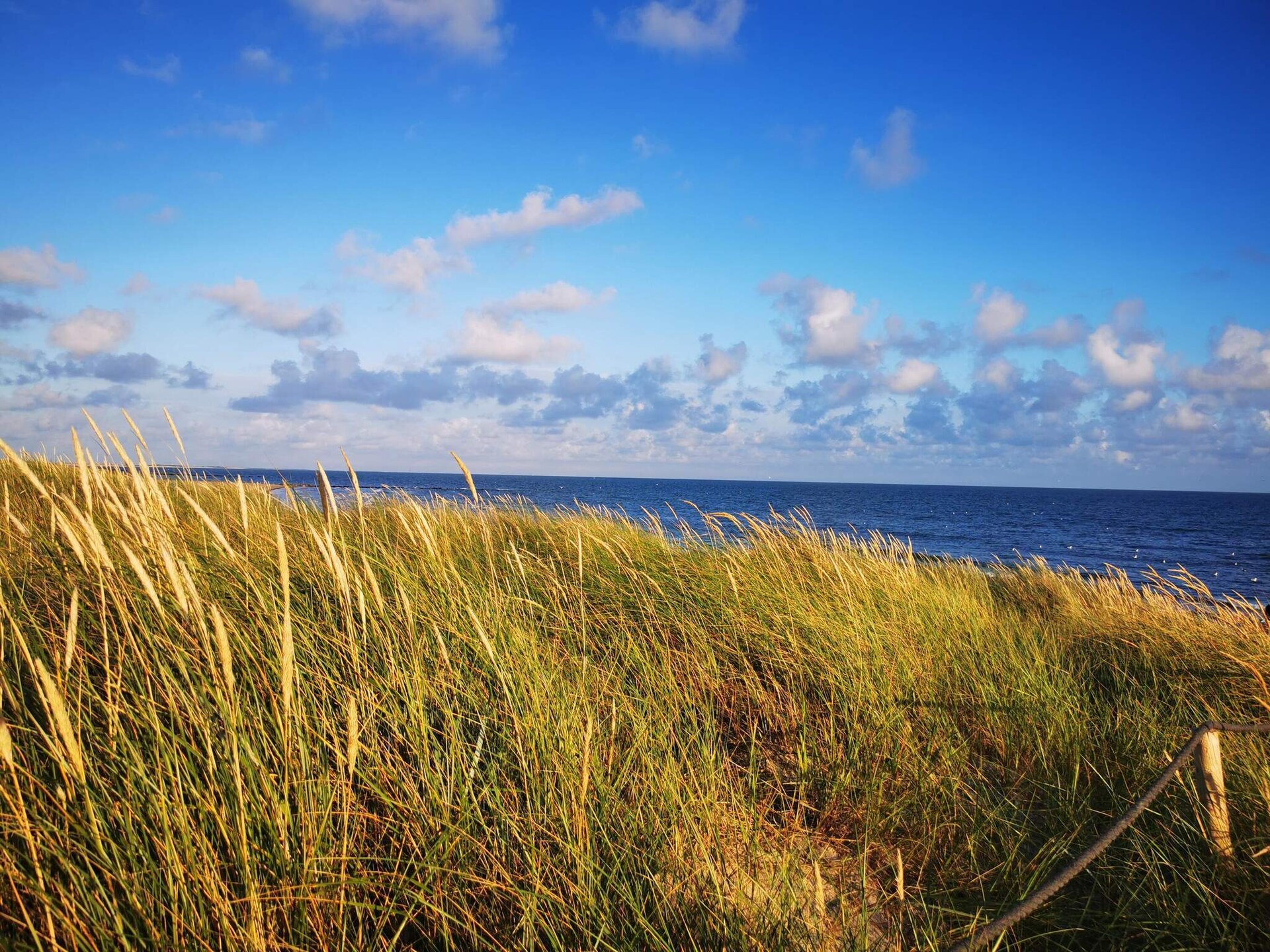 Op 1,5 km van zee: ruim vakantiehuis in Blåvand voor 24 personen - foto 5