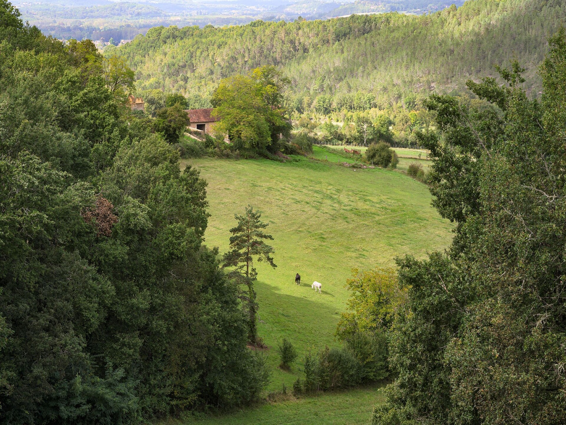 Authentiek landhuis voor 9 personen met privébos en zwembad in de Dordogne - foto 34