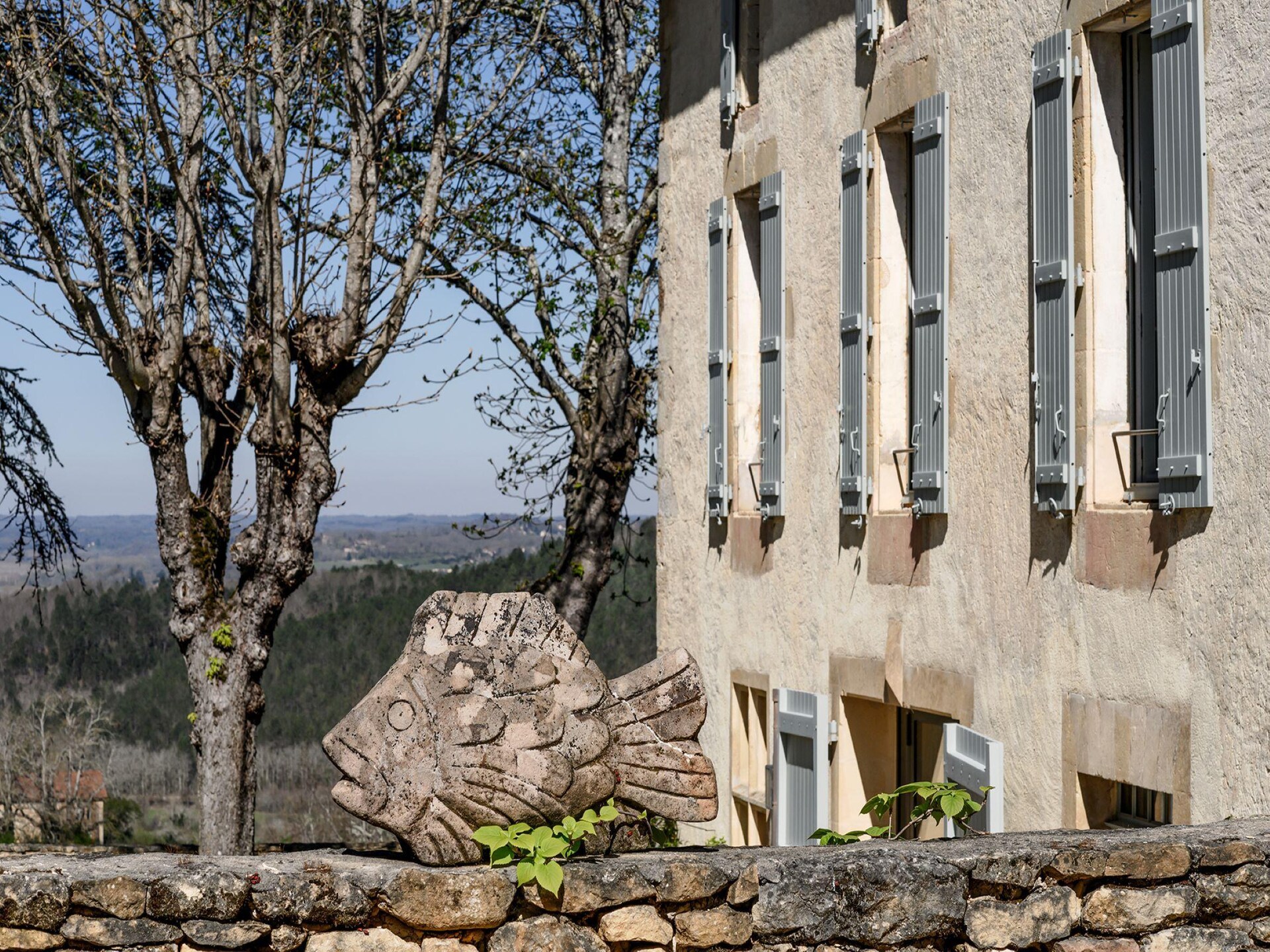 Authentiek landhuis voor 9 personen met privébos en zwembad in de Dordogne - foto 8