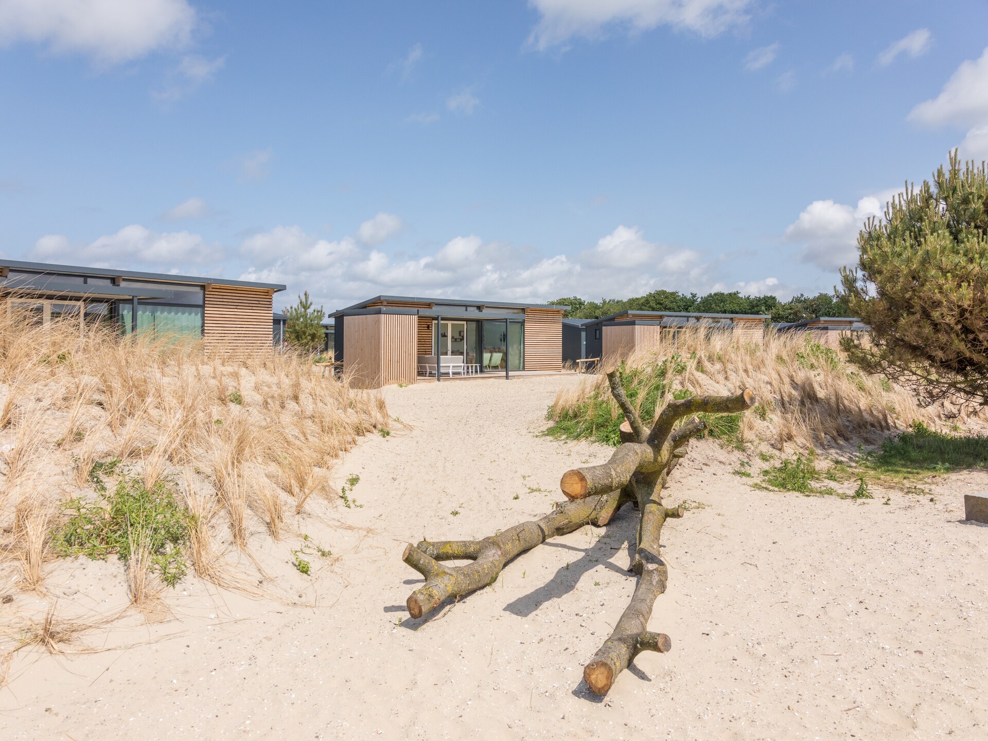 Sea Lodges Ameland 5: modern vakantiehuis met veranda, honden toegestaan - foto 14