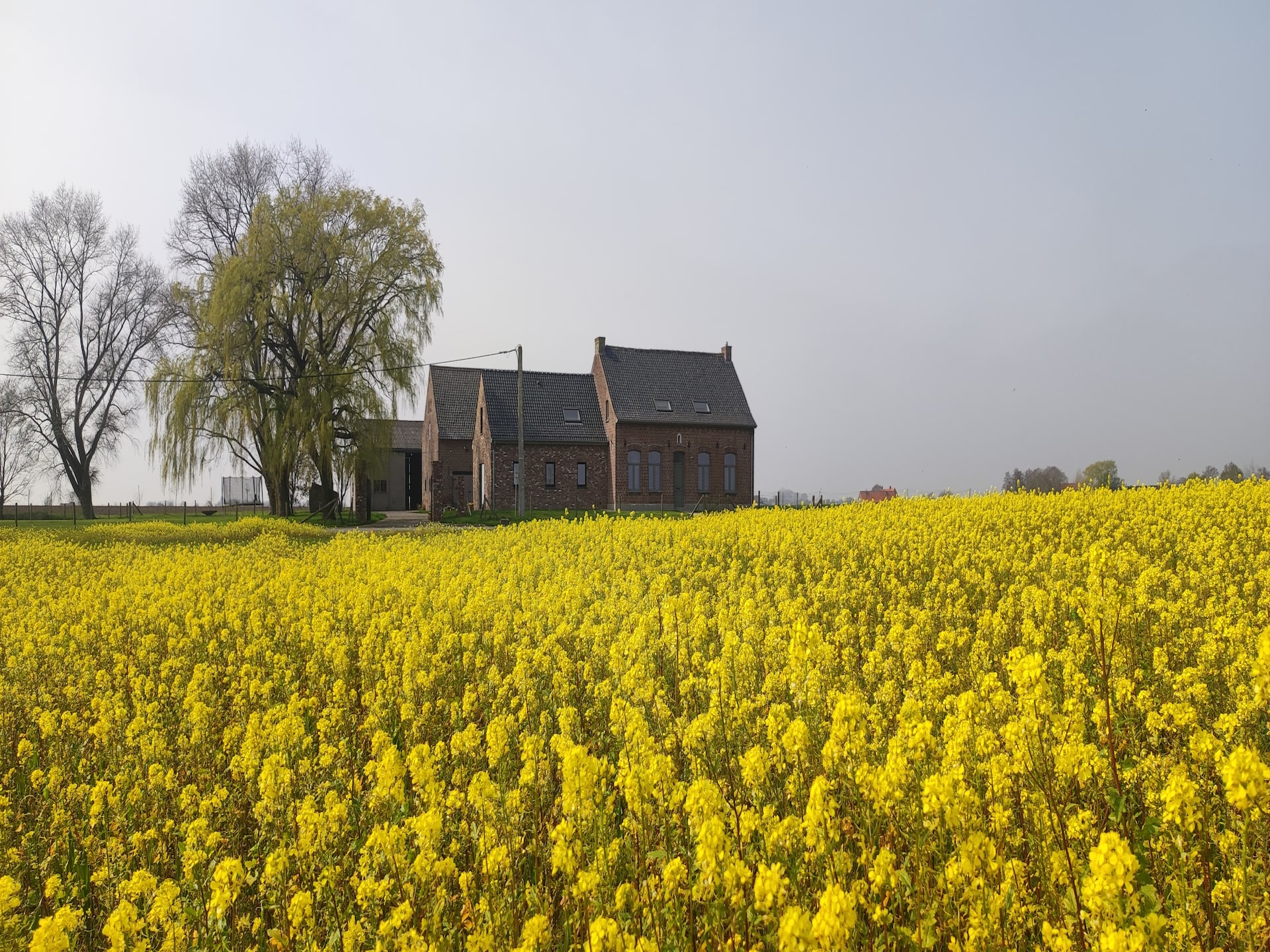 22-persoons landhuis in Roesbrugge met recreatieruimte en omheinde tuin - foto 34